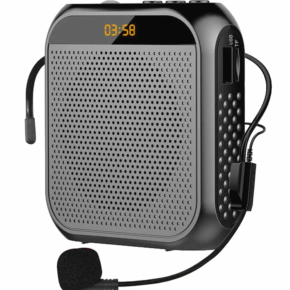 Amplificatore Vocale Portatile per Insegnanti, 2200mAh Ricaricabile con Cassa per Guida Turistica, Riunione, Yoga, Aula (Nero)