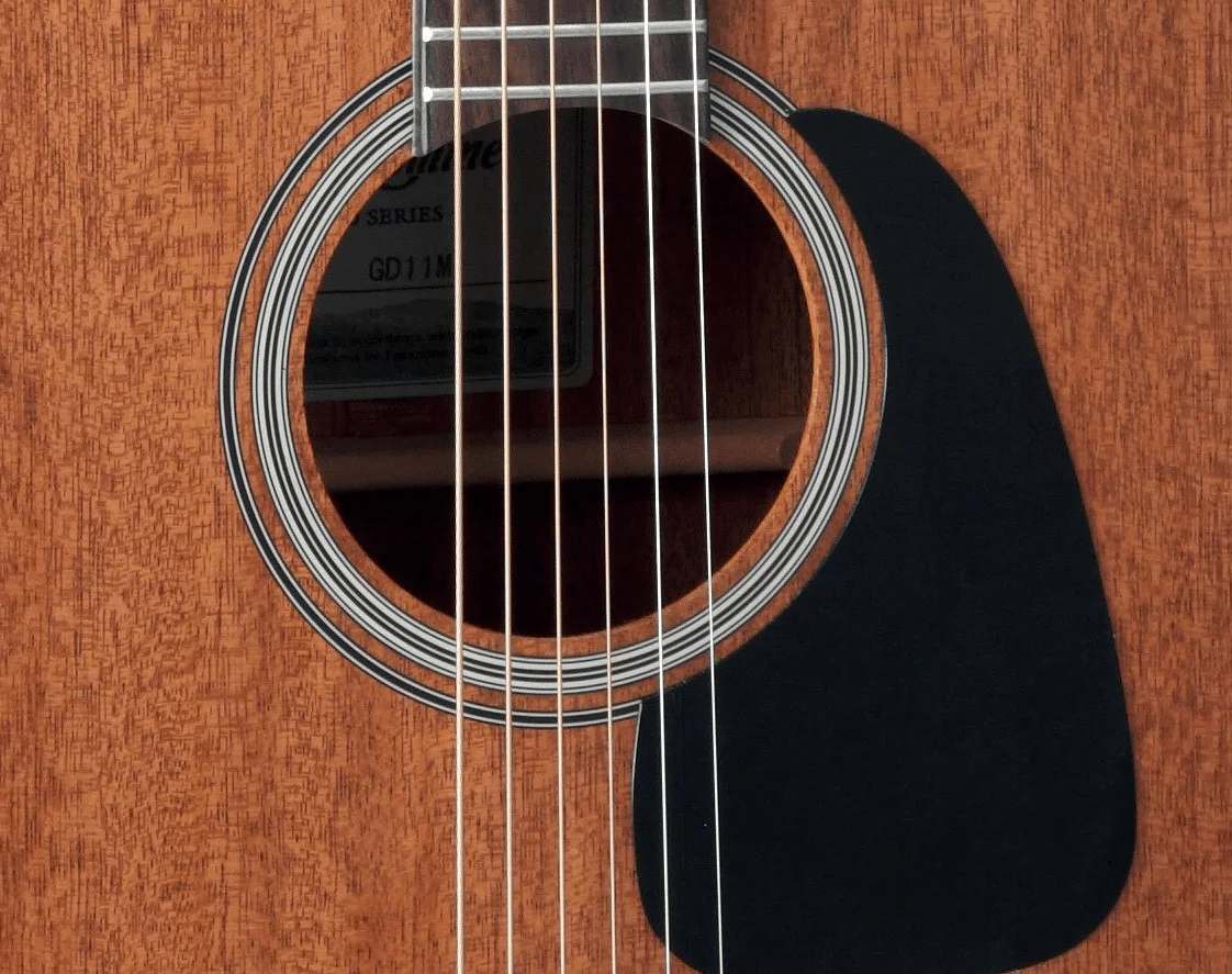 Takamine Chitarra acustica Dreadnought