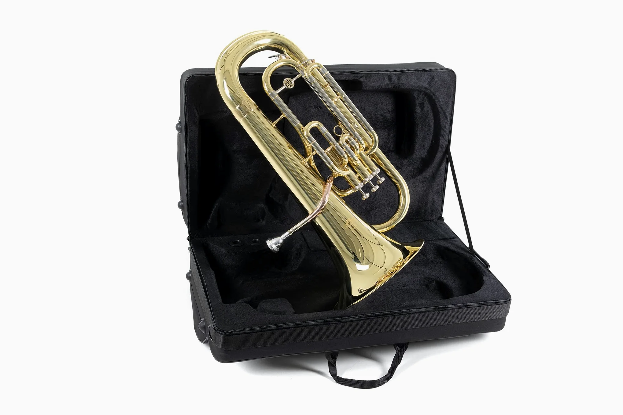 Roy Benson Bb-Euphonium EP-301 (strumento a fiato professionale, con leadpipe in ottone dorato, guide esterne in alpacca, valvole in acciaio inossidabile, con comoda custodia sagomata)