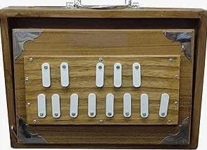 Scatola Shruti in legno di teak, 30,5 cm, strumento musicale Shruti Box con borsa, Surpeti 440Hz sintonizzato