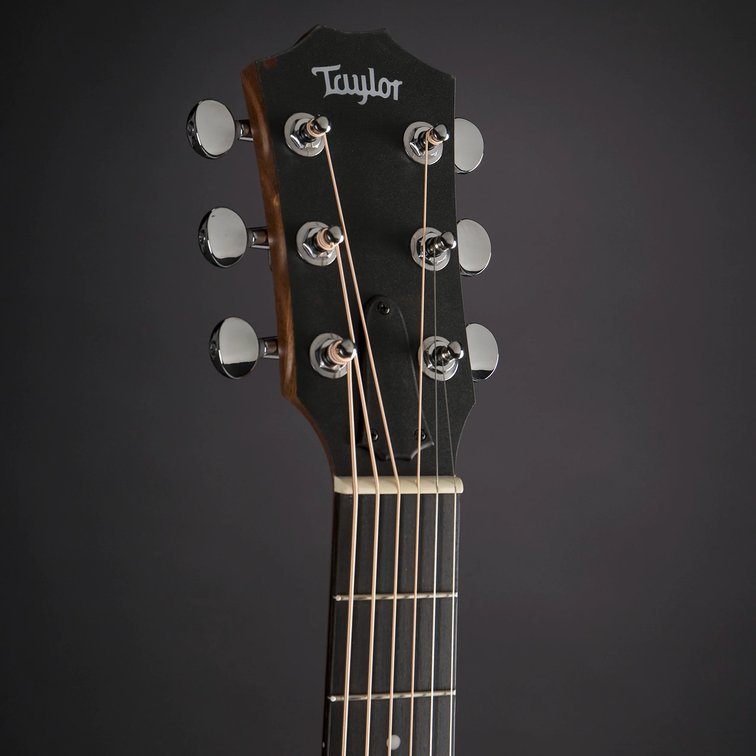 Taylor GS, Chitarra acustica, Mini