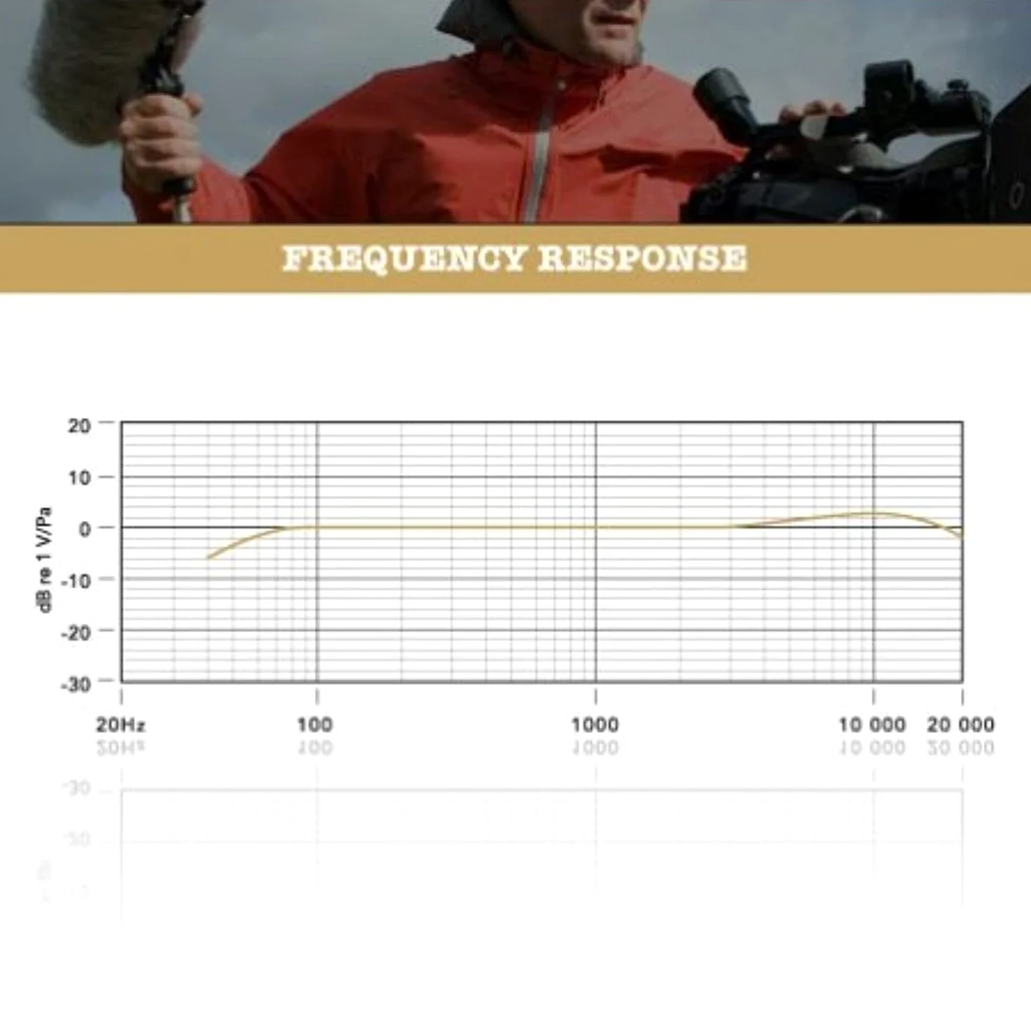 RØDE NTG3 Microfono a Condensatore Supercardioide di Precisione Nero RF-Bias per Registrazione in Location, Foley e Voice Overs