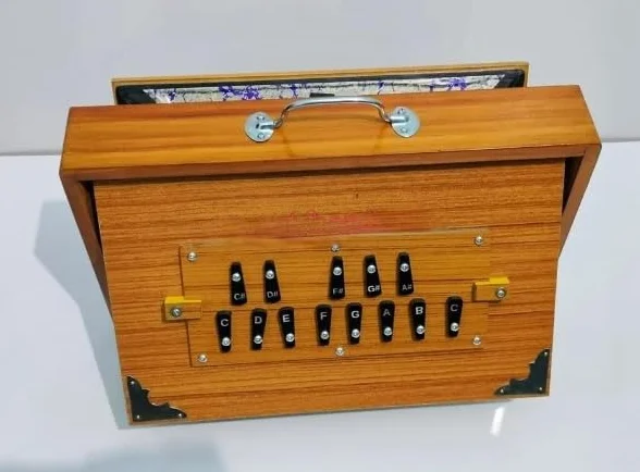 Shruti Box 38 x 25,4 x 7,6 cm, legno di teak e compensato, 440 Hz e 432 Hz Sur Pete con padel