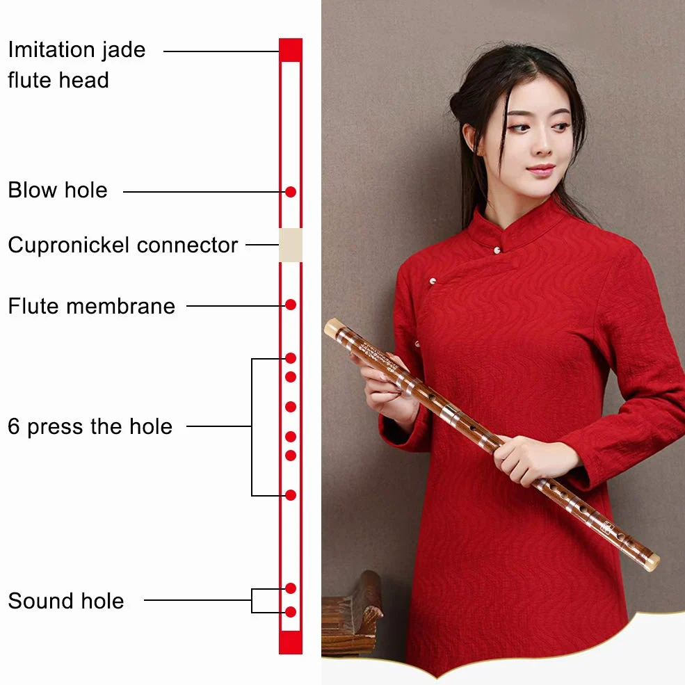 Flauto Dizi in bambù amaro con chiave in F, strumento musicale tradizionale cinese fatto a mano in chiave di F, con membrana, colla e set di protezione (marrone)