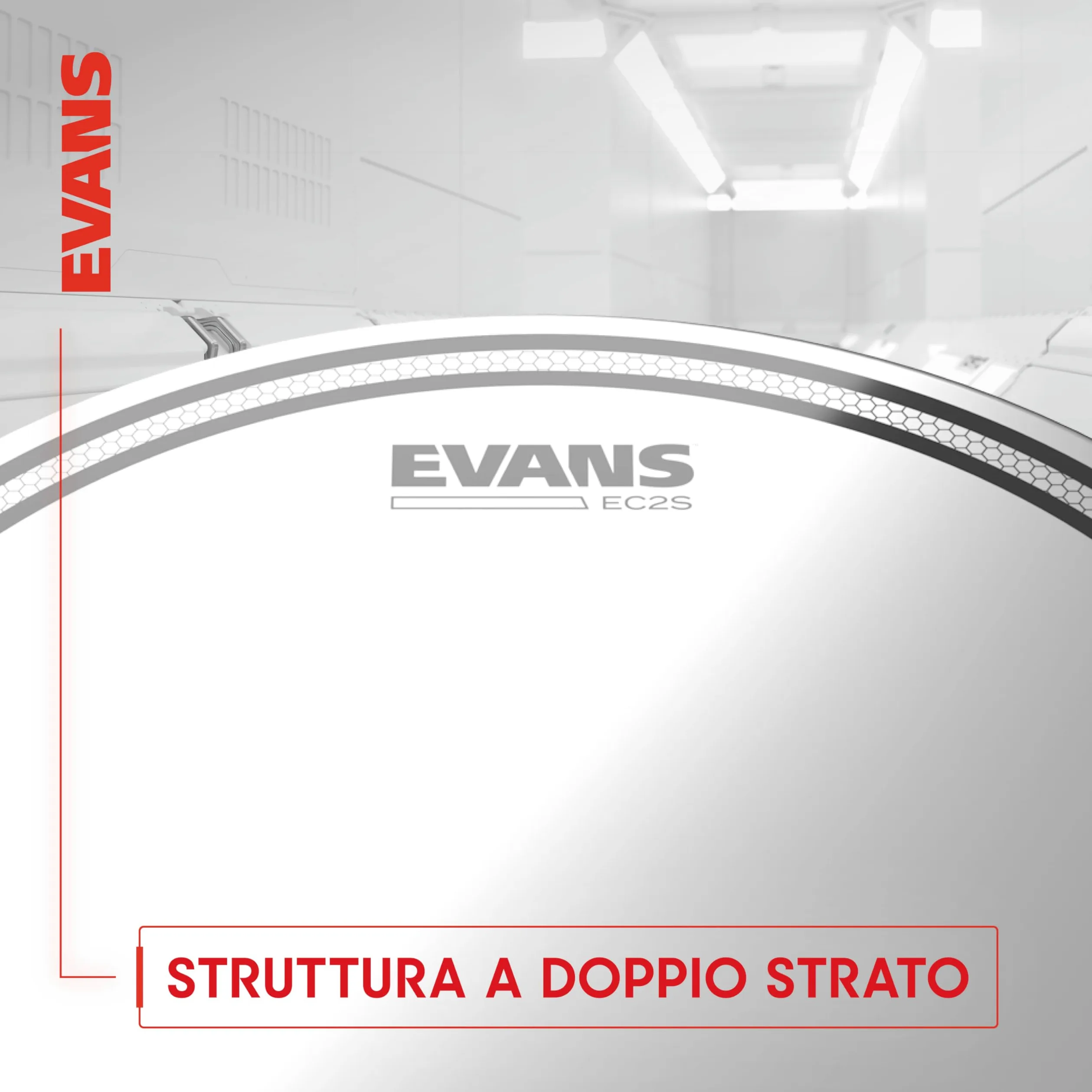 Evans EC Snare 14" B14ECSRD Reverse Dot Snare Batter Head - Pelle per rullante