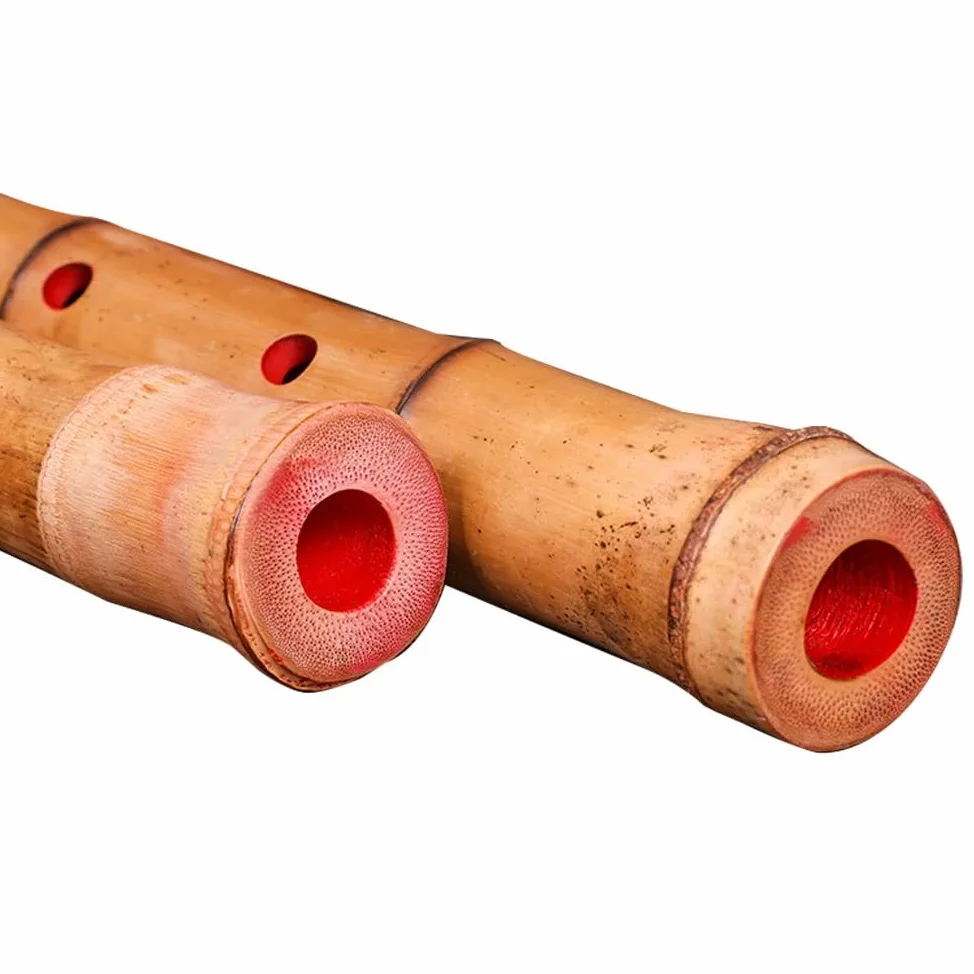 Giappone shakuhachi radice di bambù naturale shakuhachi tutto vegetariano shakuhachi bambù esportazione Giappone shakuhachi cassia bambù shakuhachi (Color : Key of F)
