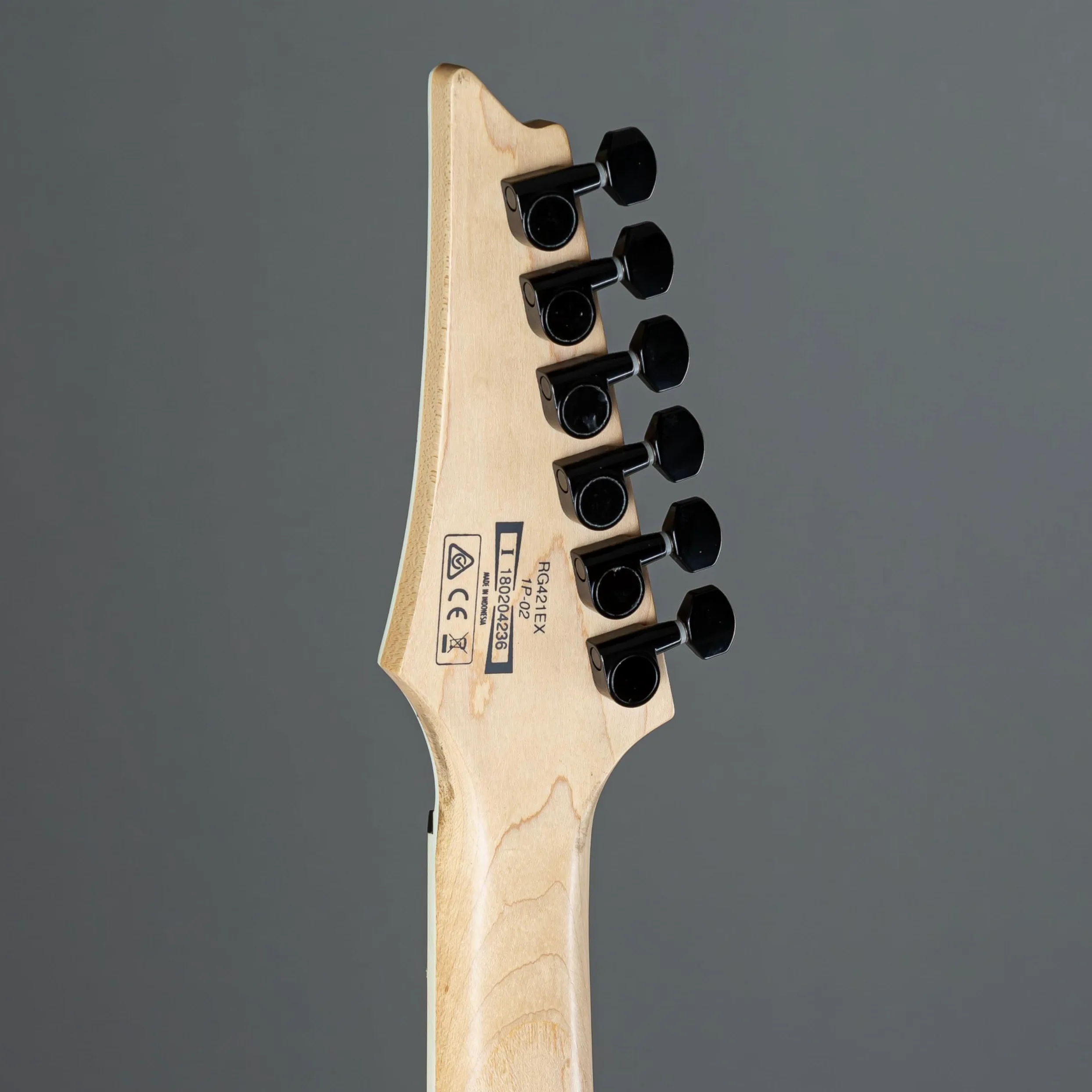 Ibanez RG421EX - Chitarra Elettrica, finitura nera piatta