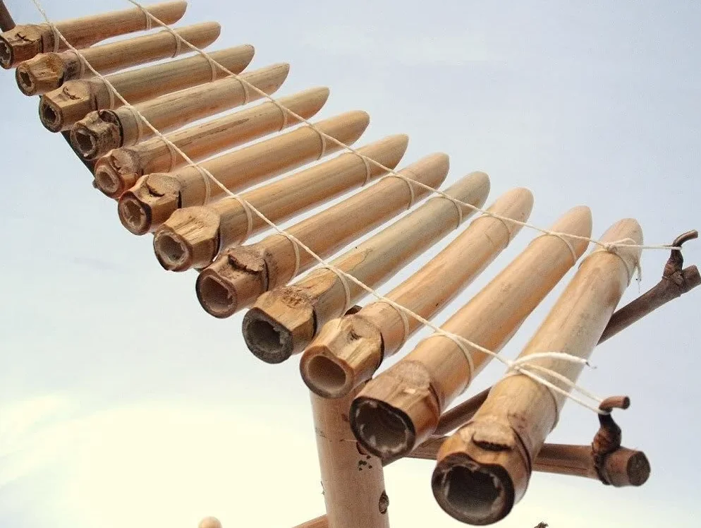 Fiera Boxed Vietnamita bambu xilofono