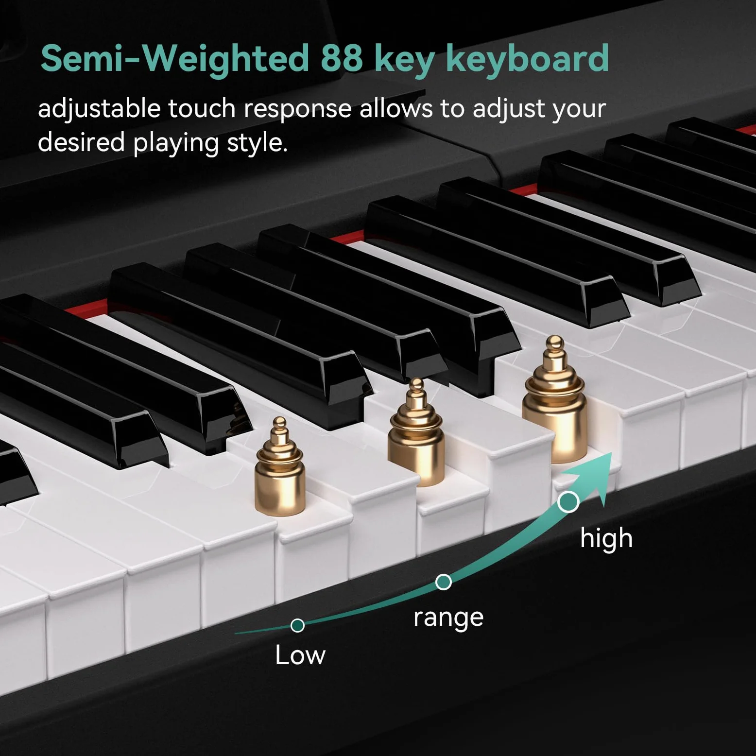 Rosen P21 Tastiera Semi-Pesata 88 Tasti Pianoforte Digitale per Principianti, Pianoforte Elettrico Portatile con Pedale di Sostegno e Alimentazione, Nero