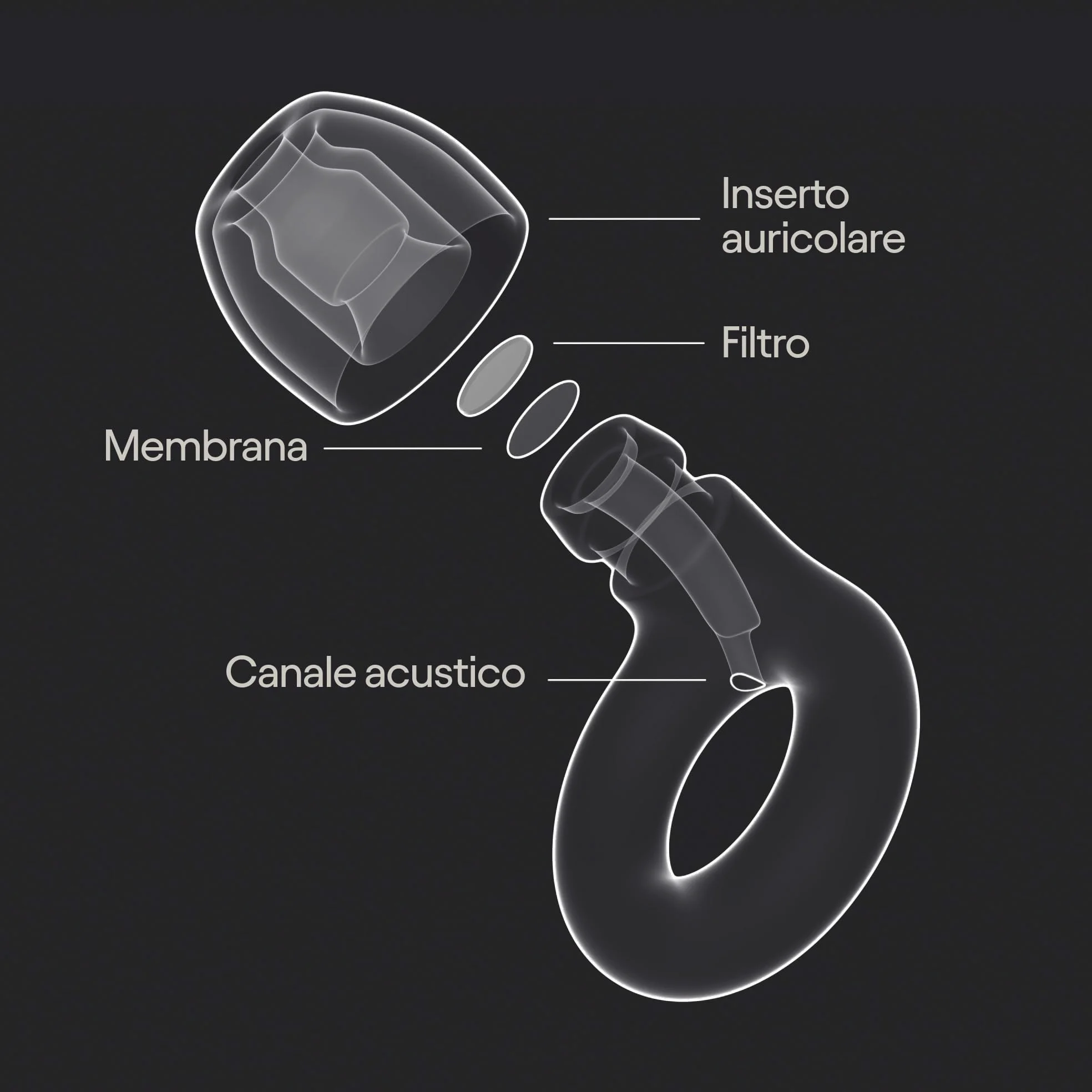 Loop Experience 2 Tappi orecchie – Protezione certificata dell’udito pensati per concerti e festival, eventi dal vivo e sportivi, musicisti e movida – Riduzione dei rumori da 17 dB (alta fedeltà)