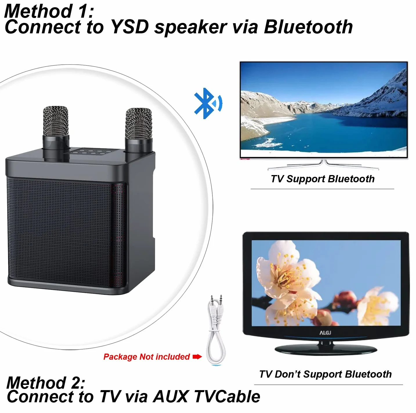 Altoparlante Bluetooth senza fili con 2 microfoni canta tu per karaoke Sistema PA portatile per feste, attività, supporto AUX, scheda USB/TF (nero)