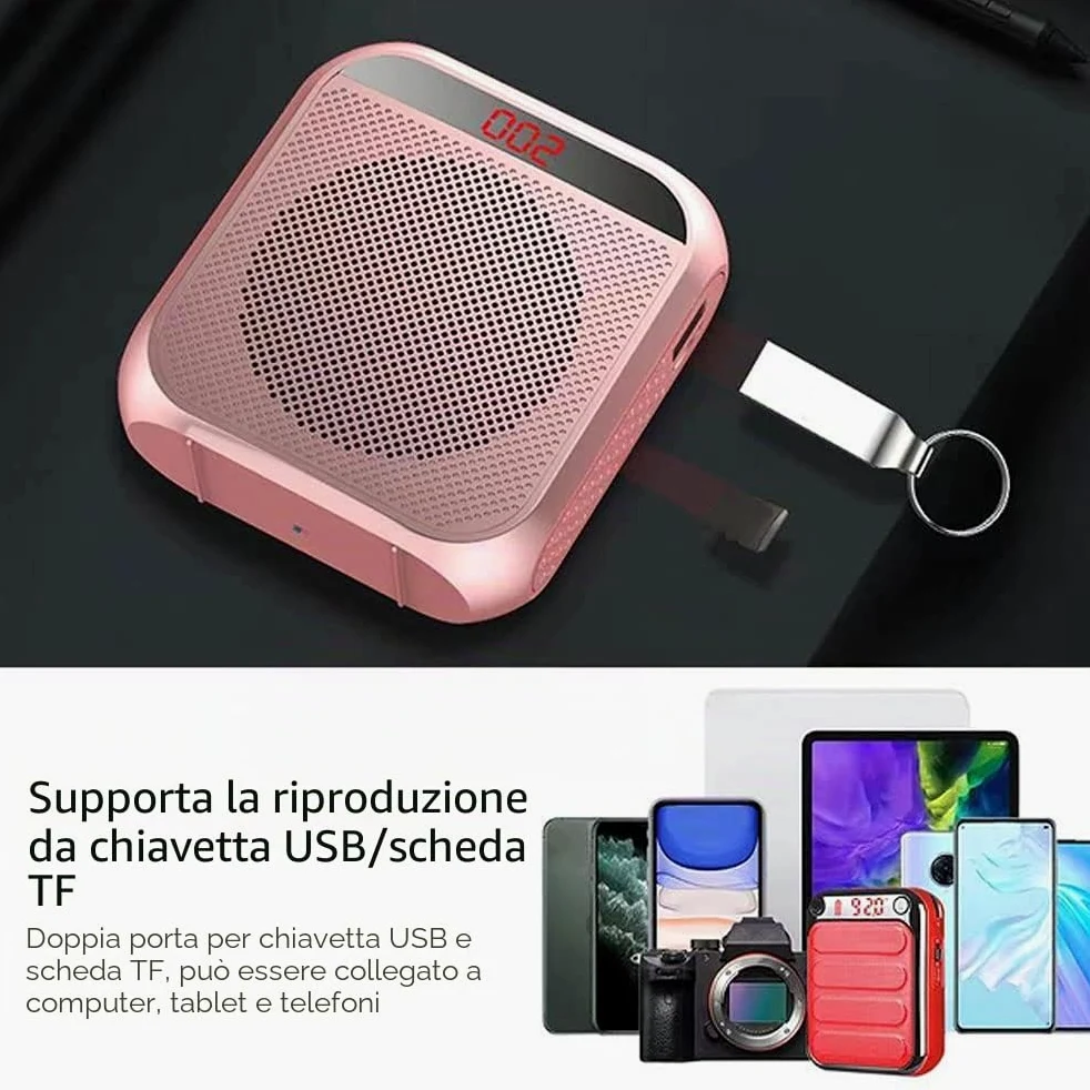 Amplificatore Vocale Portatile per Insegnanti, 2200mAh Ricaricabile con Cassa per Guida Turistica, Riunione, Yoga, Aula (Nero)