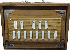 Scatola Shruti da 30,5 cm per musica Surpet sintonizzata a 432 Hz, scatola in legno di teak Shruti con borsa per il trasporto