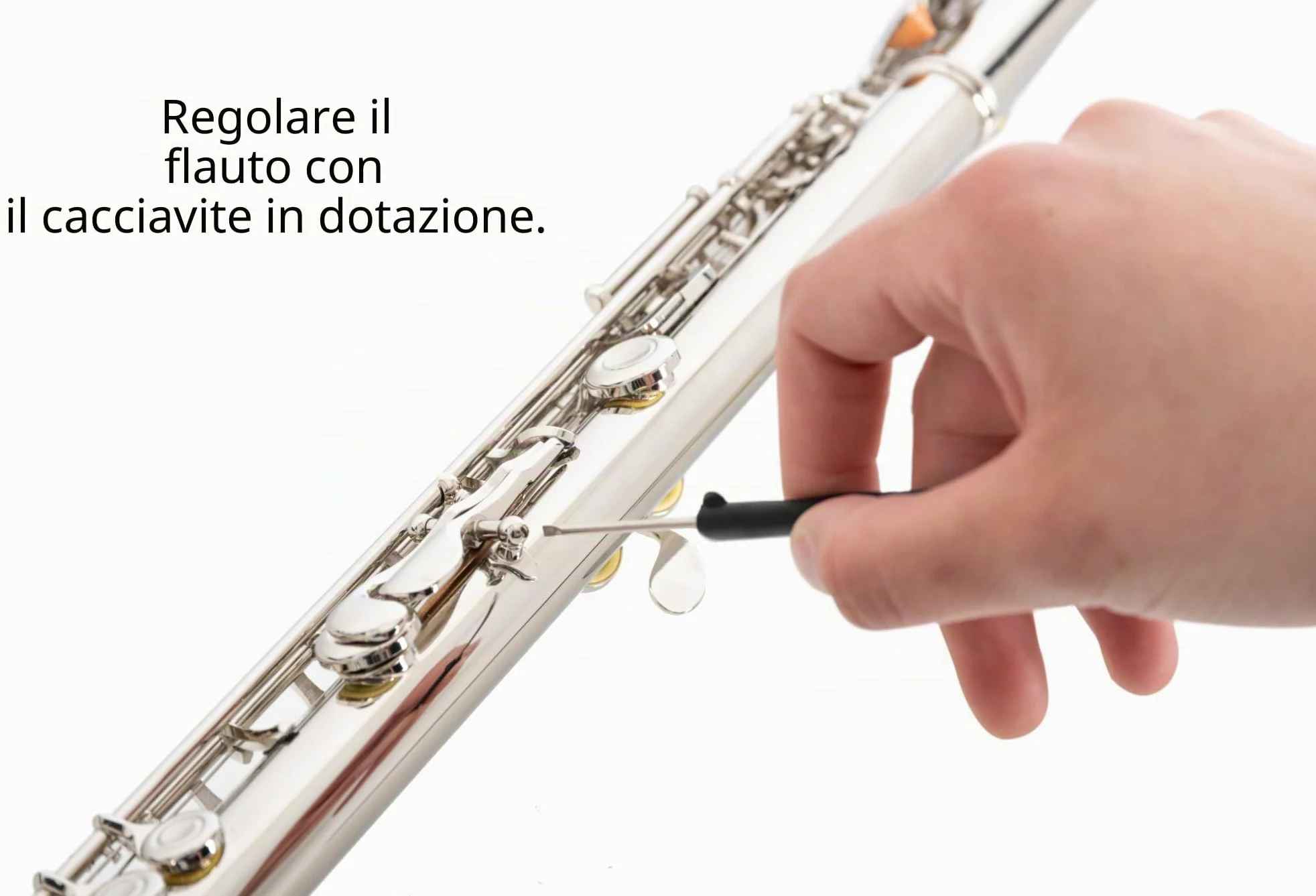 Classic Cantabile FL-100 Flauto Traverso, ottimo per principianti, nichelato, chiavi chiuse, meccanica E, Sol anticipato, accordatura in Do, custodia e accessori inclusi, argento.