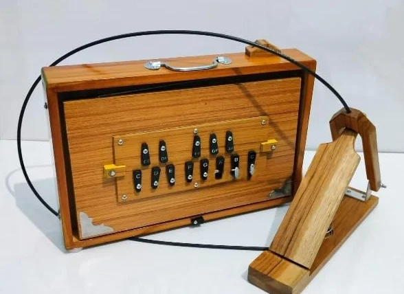 Shruti Box 38 x 25,4 x 7,6 cm, legno di teak e compensato, 440 Hz e 432 Hz Sur Pete con padel