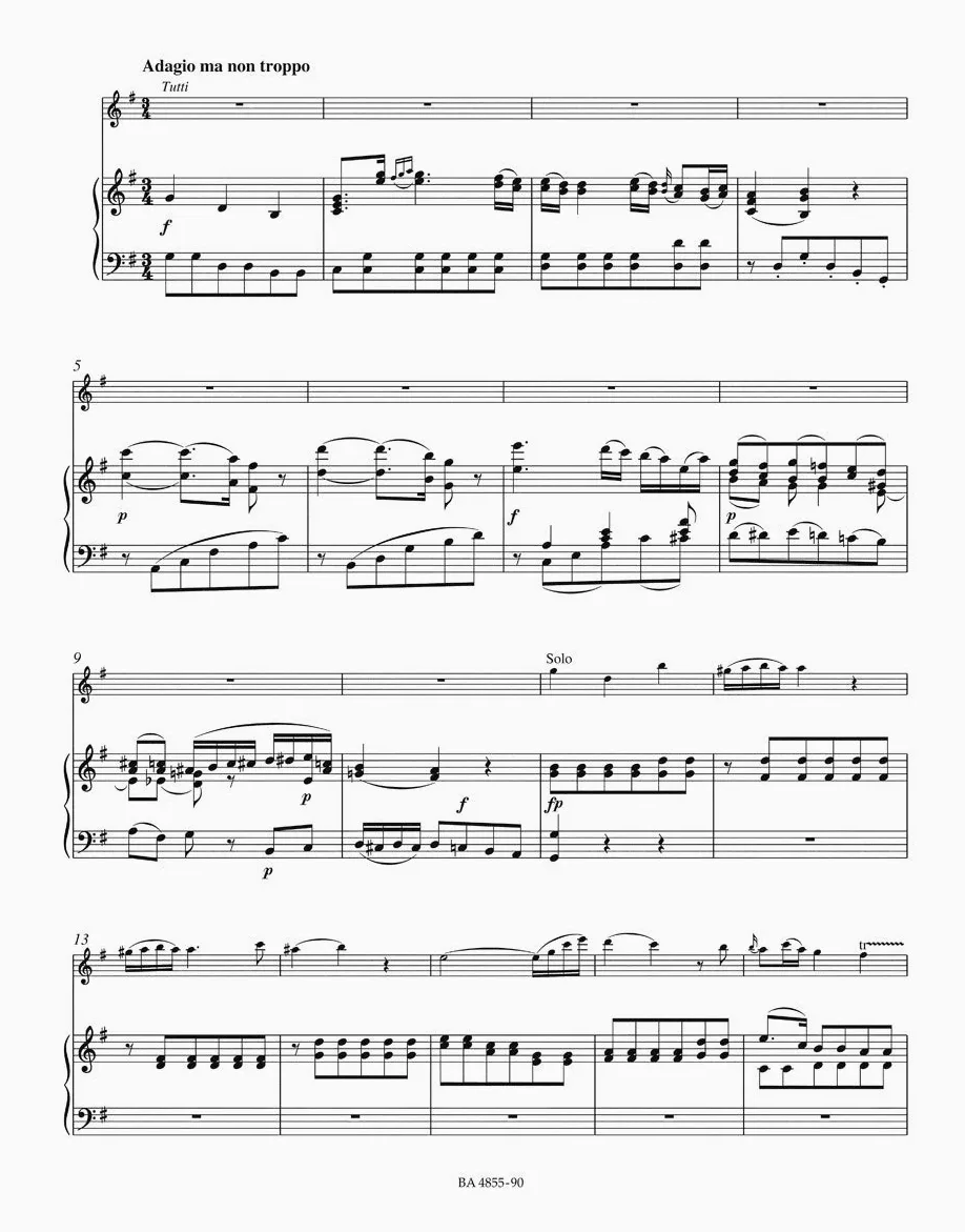 Concerto per flauto e orchestra 314. Flauto e pianoforte