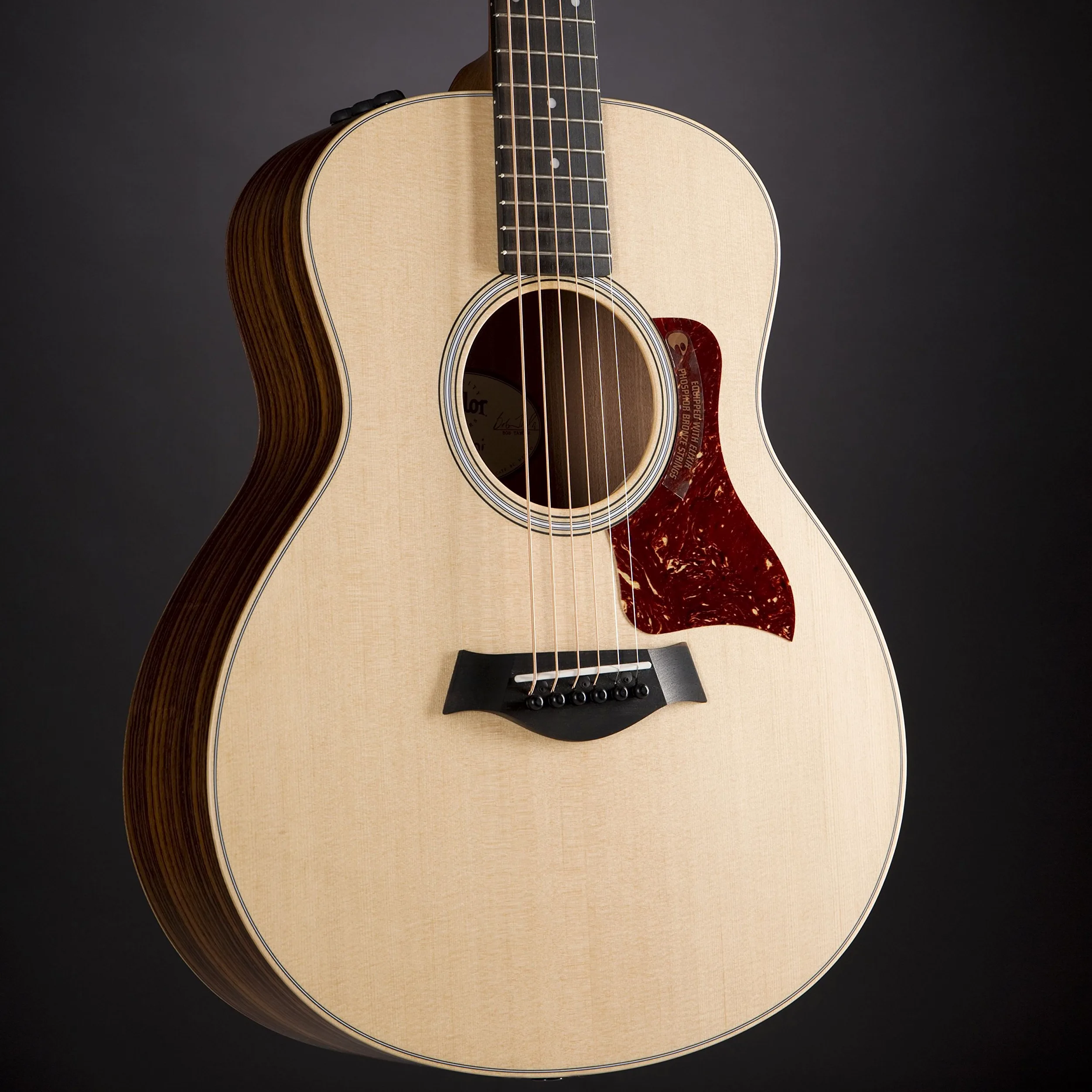 Taylor GS, Chitarra acustica, Mini