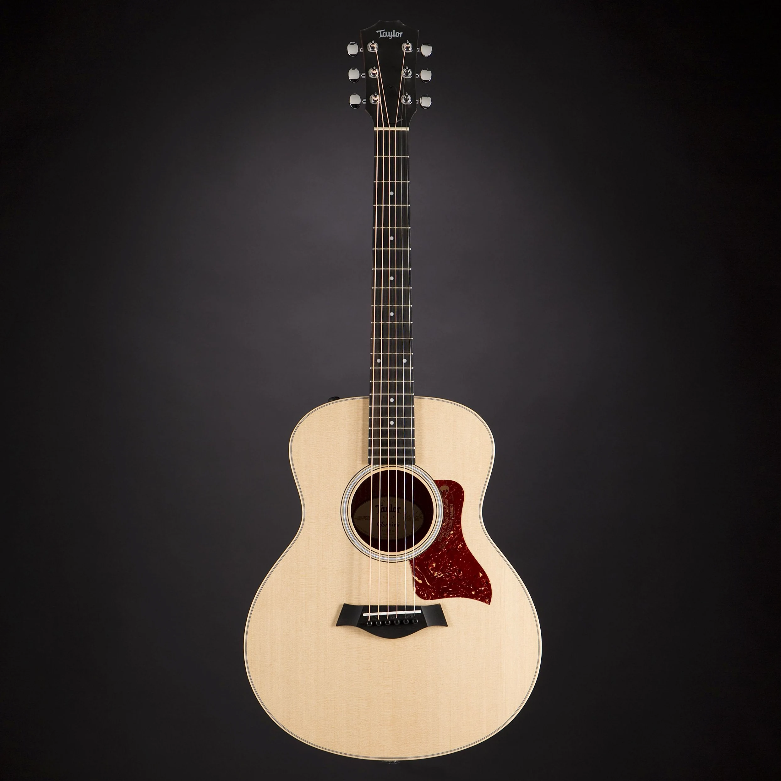 Taylor GS, Chitarra acustica, Mini
