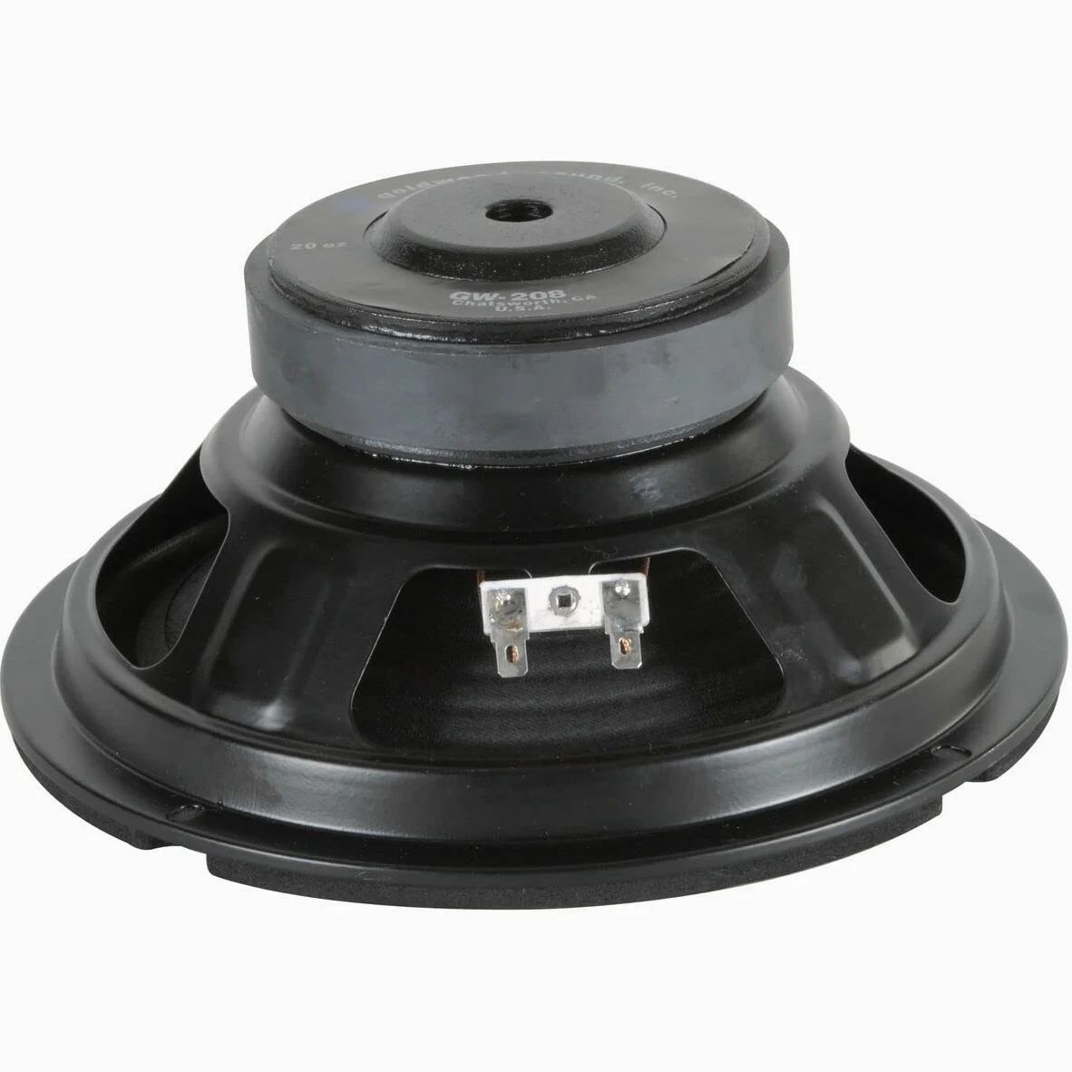 10" Woofer with Poly Cone and Rubber Surround 100W RMS at 8ohm