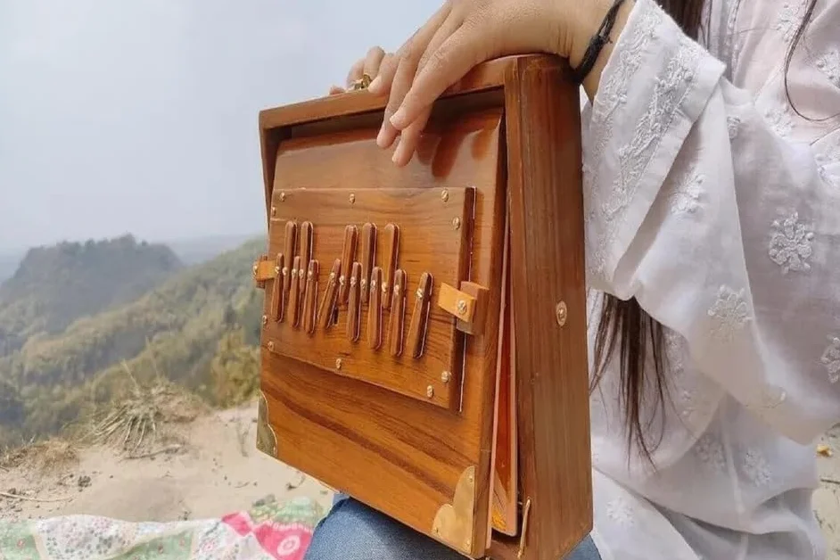 Scatola Shruti in puro legno di teak, 30,5 cm, strumento musicale con borsa, chiavi in legno, scatola Shruti 432Hz sintonizzata
