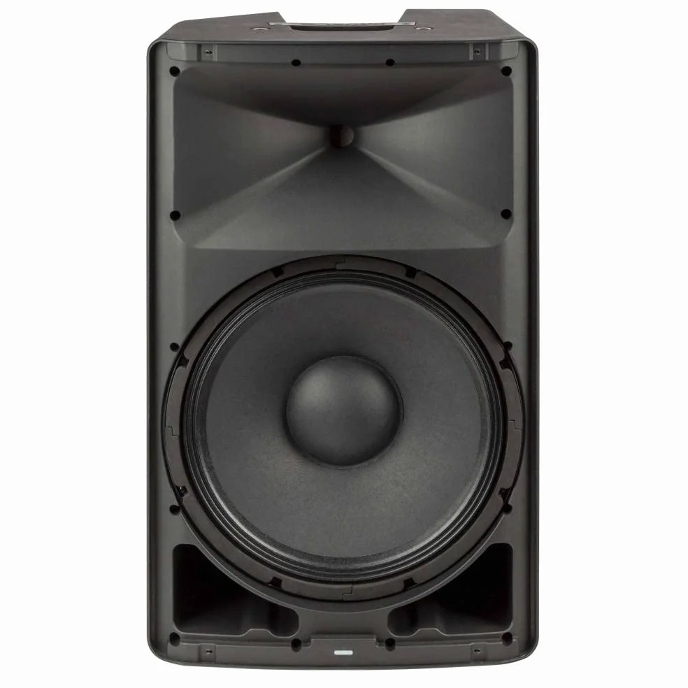 PROEL DIVA15A - Cassa Diffusore audio bi-amplificato da 15” e 1000w picco con modulo Bluetooth Stereo Link, Nero