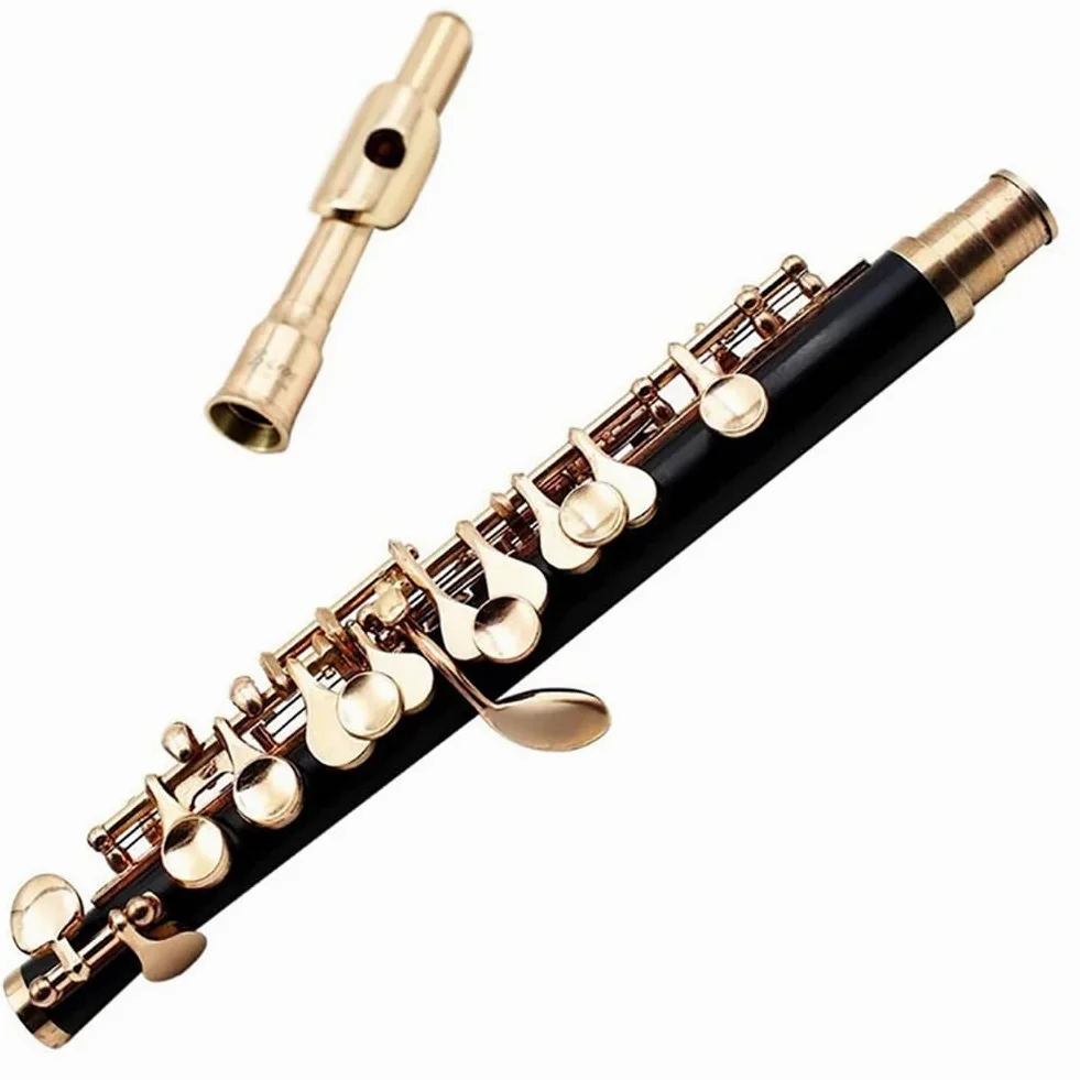 Ottavino di mezza misura, cupronickel placcato in argento C Key Tone 16 fori Piccolo con cacciavite for astuccio