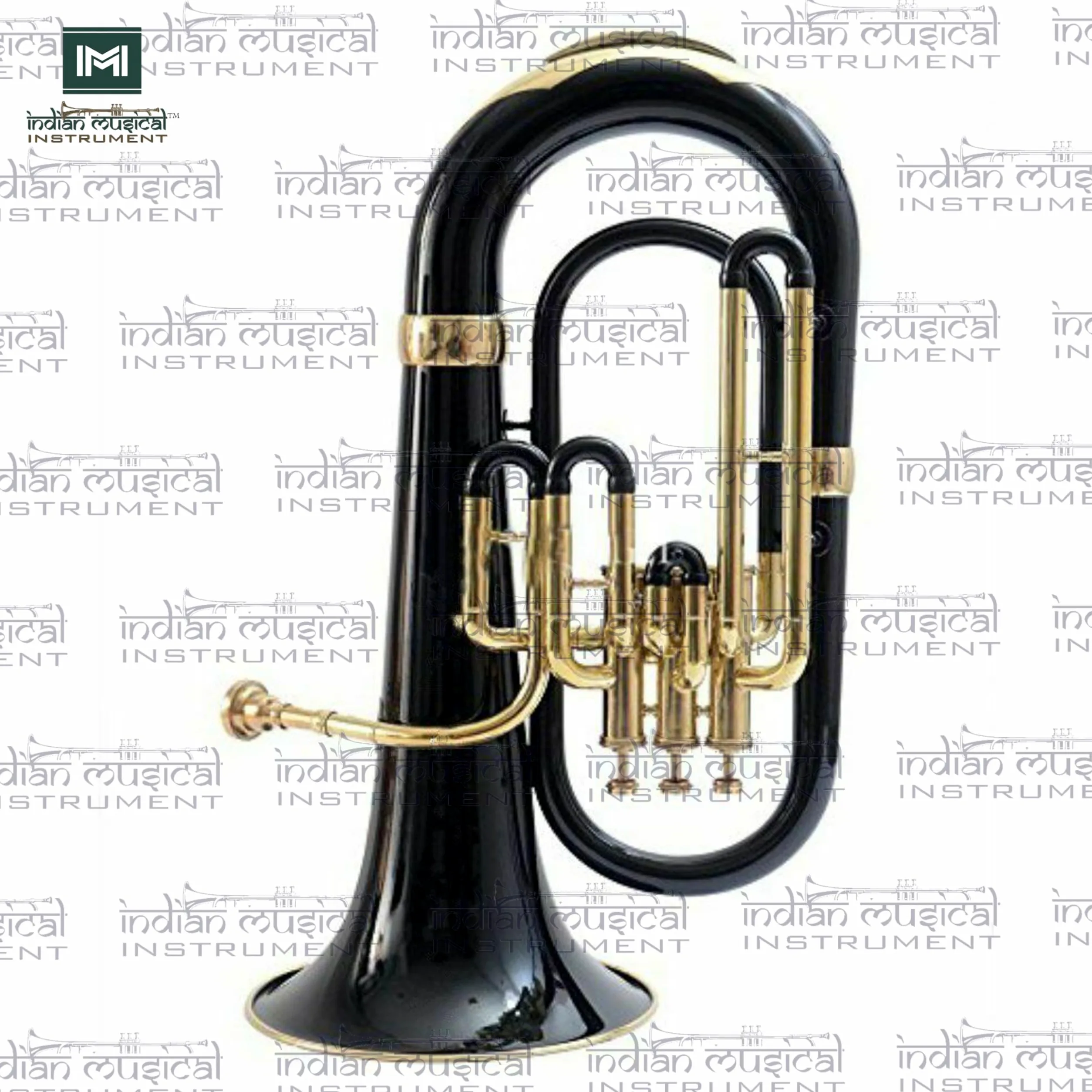 Euphonium 3 valvola Bb Pitch con custodia e bocchino (nero oro)