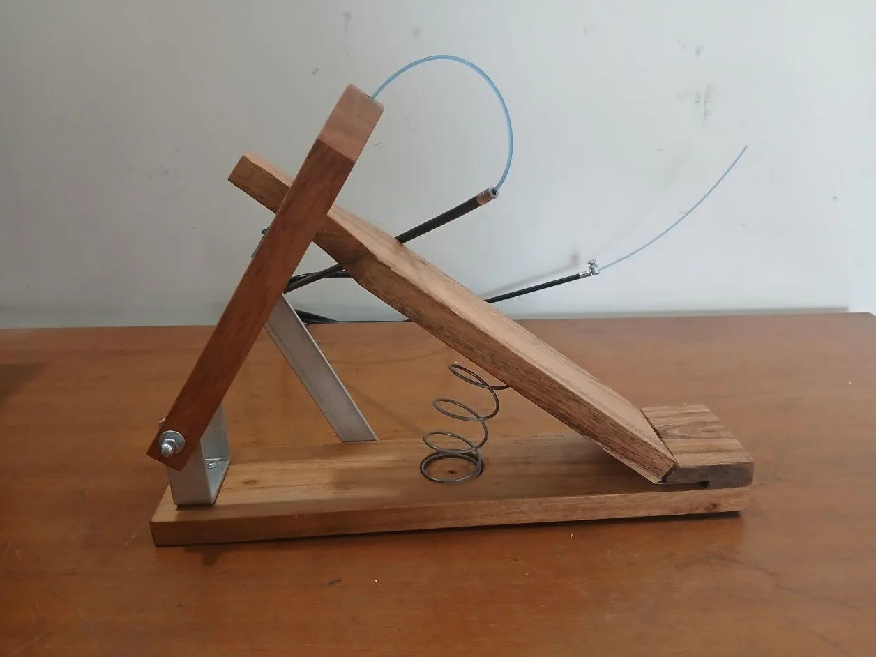 Scatola Shruti da 3 ottave, legno di teak, marrone, chiave C, stile tradizionale, con borsa per il trasporto