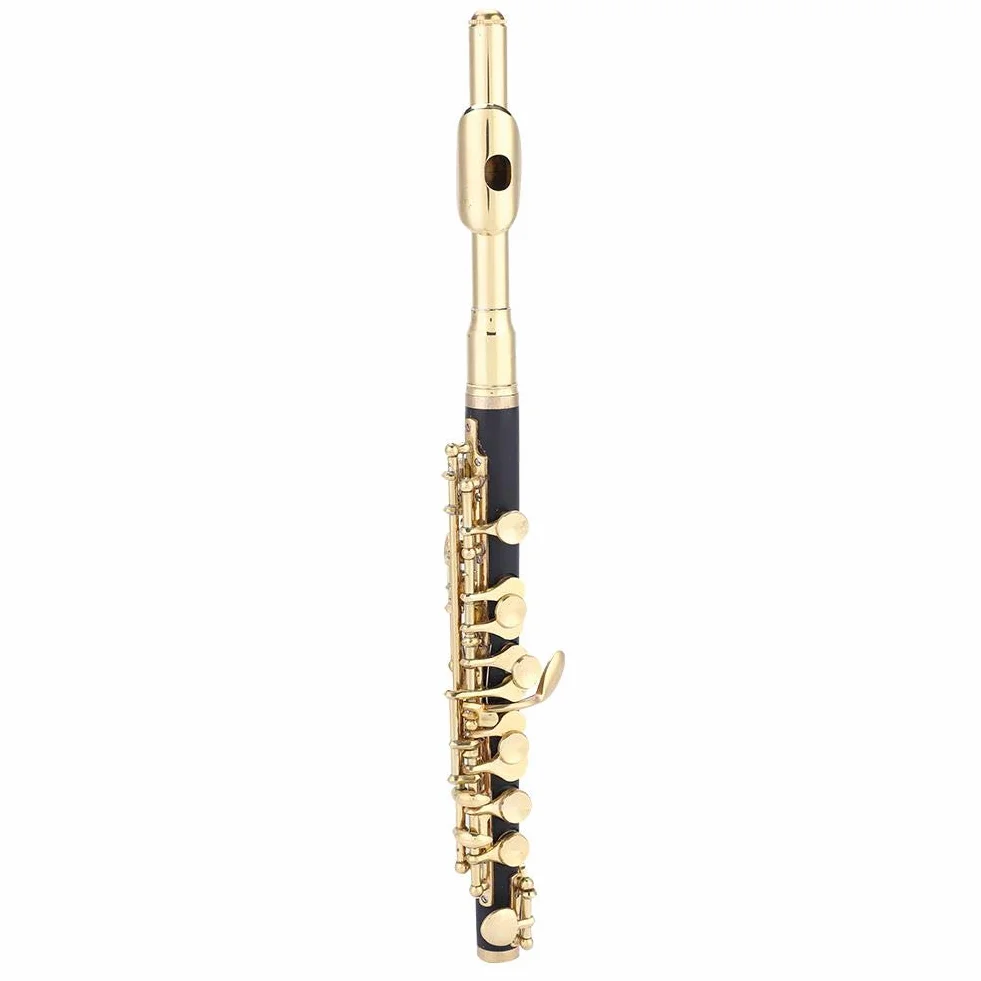 Tasto C Ottavino, Set Piccolo, con Scatola Imbottita Flauto di Mezza grandezza, per Bambini e Principianti e Musicisti Adulti(Golden)