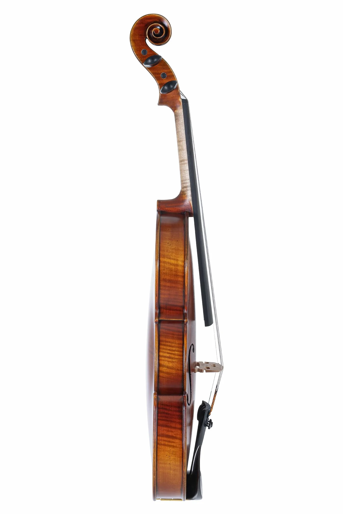 GEWA, set di violini serie Maestro 2 VL 4, 1/2 pronto per l'uso incl. custodia, arco Massaranduba e corde Larsen Aurora