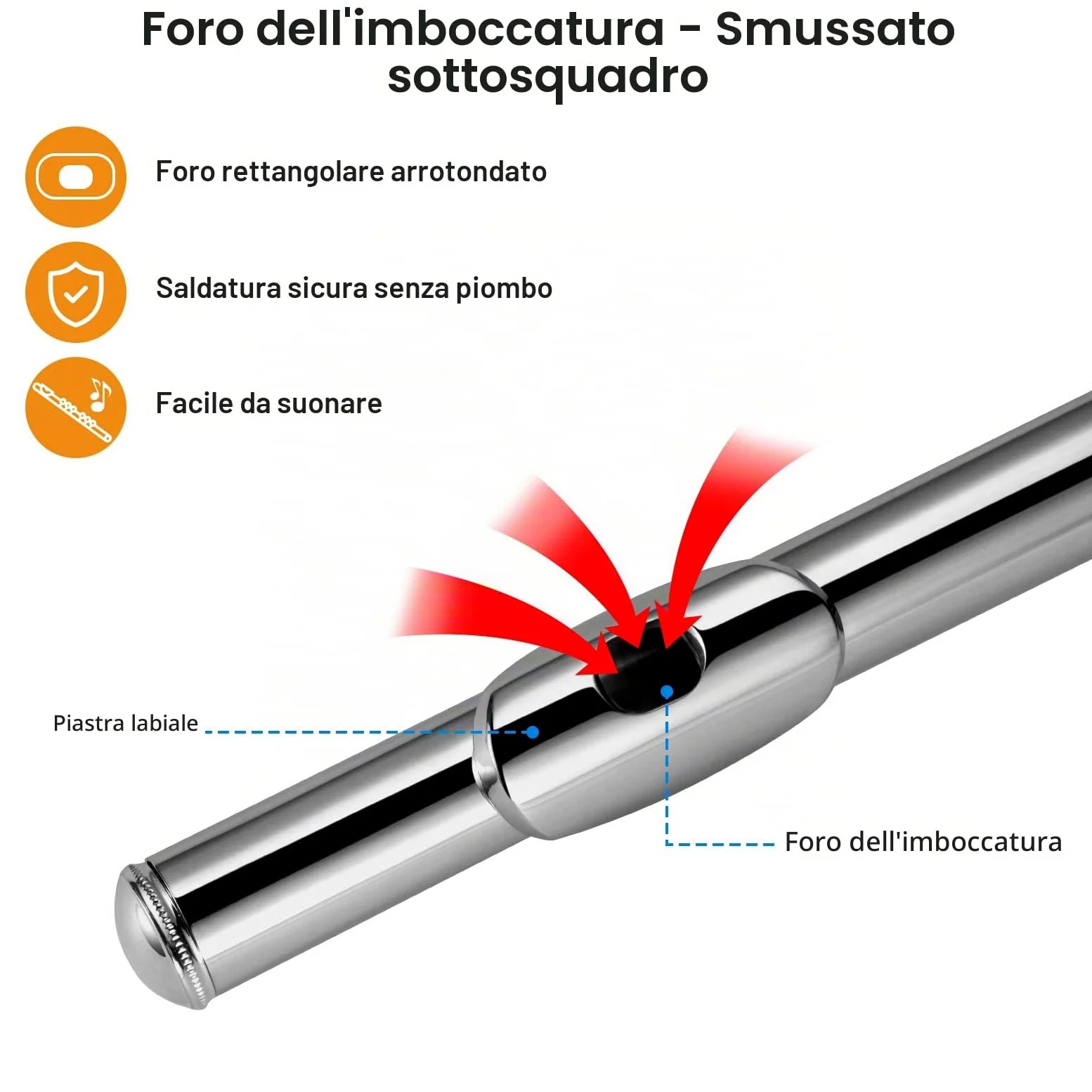 POGOLAB Flauti, Foro Chiuso C 16 Tasti, Flauto per Studenti Principianti Avanzati, con Kit di Pulizia per Flauto, Borsa per il Trasporto, Supporto, Cinghia, Asta Sonda, Guanti, Grasso, Placcato Nickel