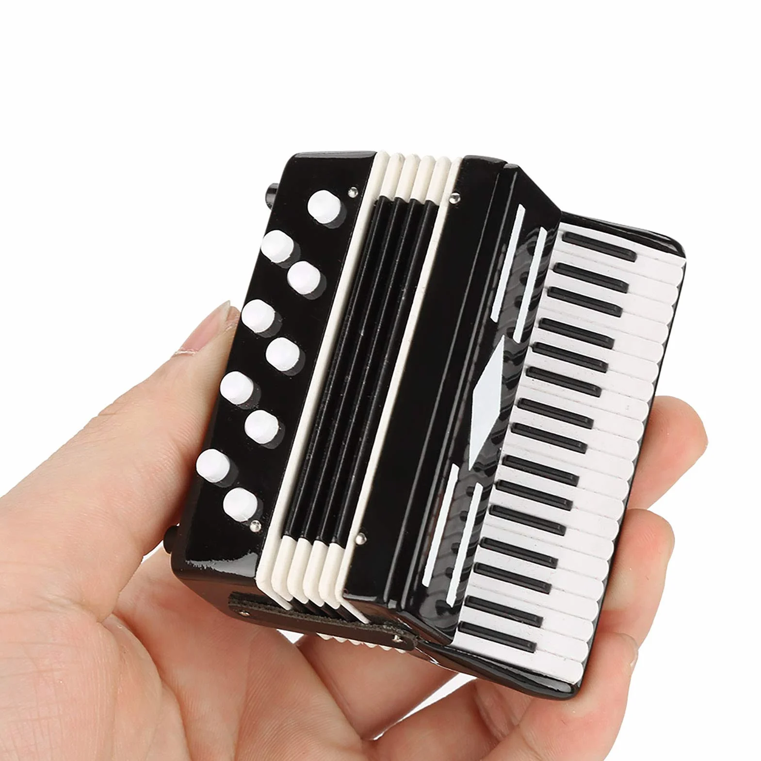 Moo di Fisarmonica In Miniatura, Display per Fisarmonica da 3 Mini Ornamenti Decorativi per Strumenti Musicali con Scatola