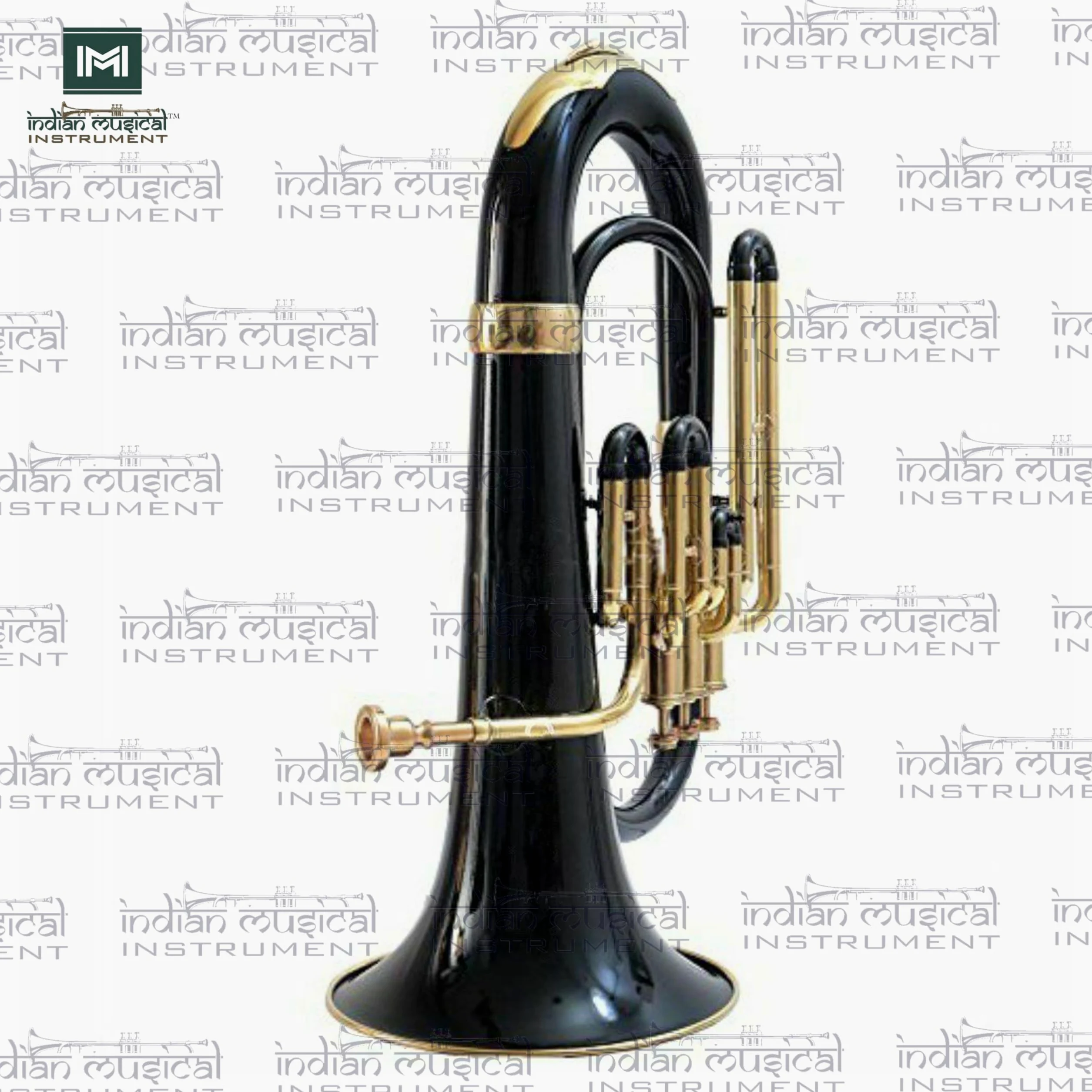 Euphonium 3 valvola Bb Pitch con custodia e bocchino (nero oro)