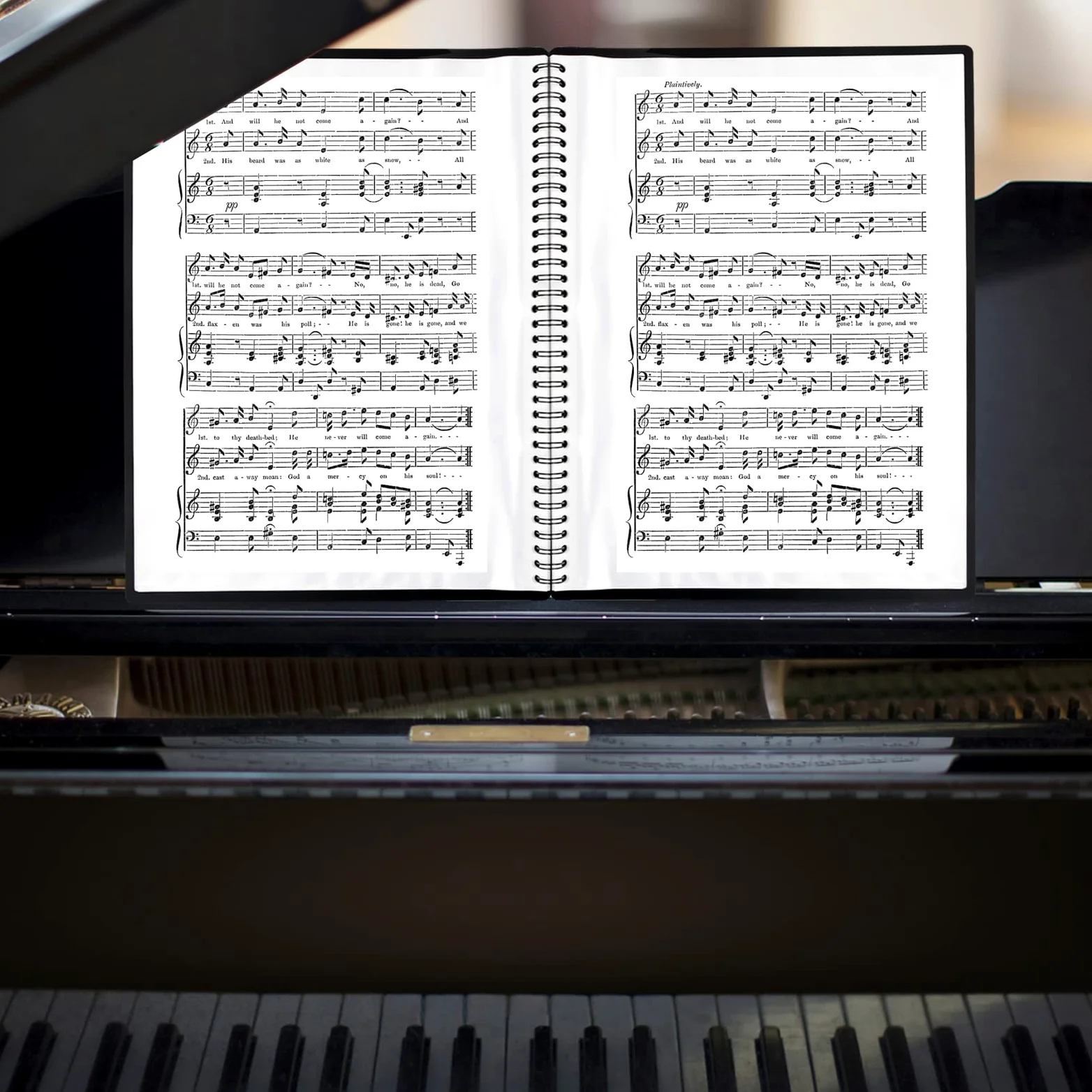 Cartella Spartiti A4, Impermeabile Cartellina Porta Spartiti Musicali con 60 Tasche(120 Pagine), Porta Documenti in Formato A4 per Piano File, Cartella di Archiviazione Della Musica per Musicisti (B)