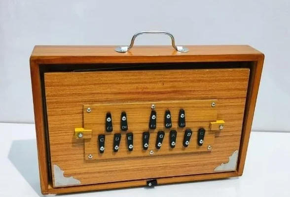Shruti Box 38 x 25,4 x 7,6 cm, legno di teak e compensato, 440 Hz e 432 Hz Sur Pete con padel