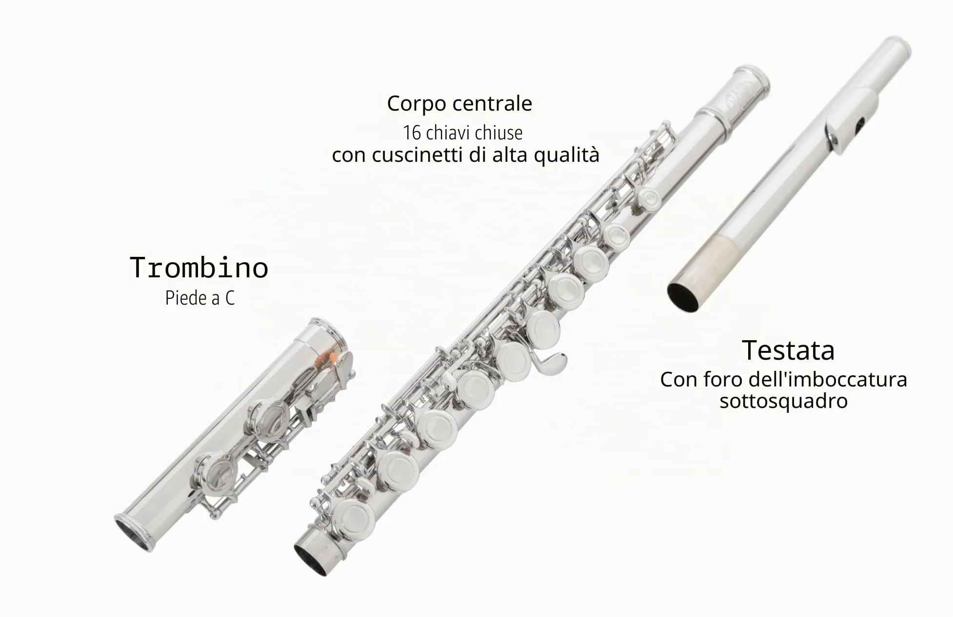 Classic Cantabile FL-100 Flauto Traverso, ottimo per principianti, nichelato, chiavi chiuse, meccanica E, Sol anticipato, accordatura in Do, custodia e accessori inclusi, argento.