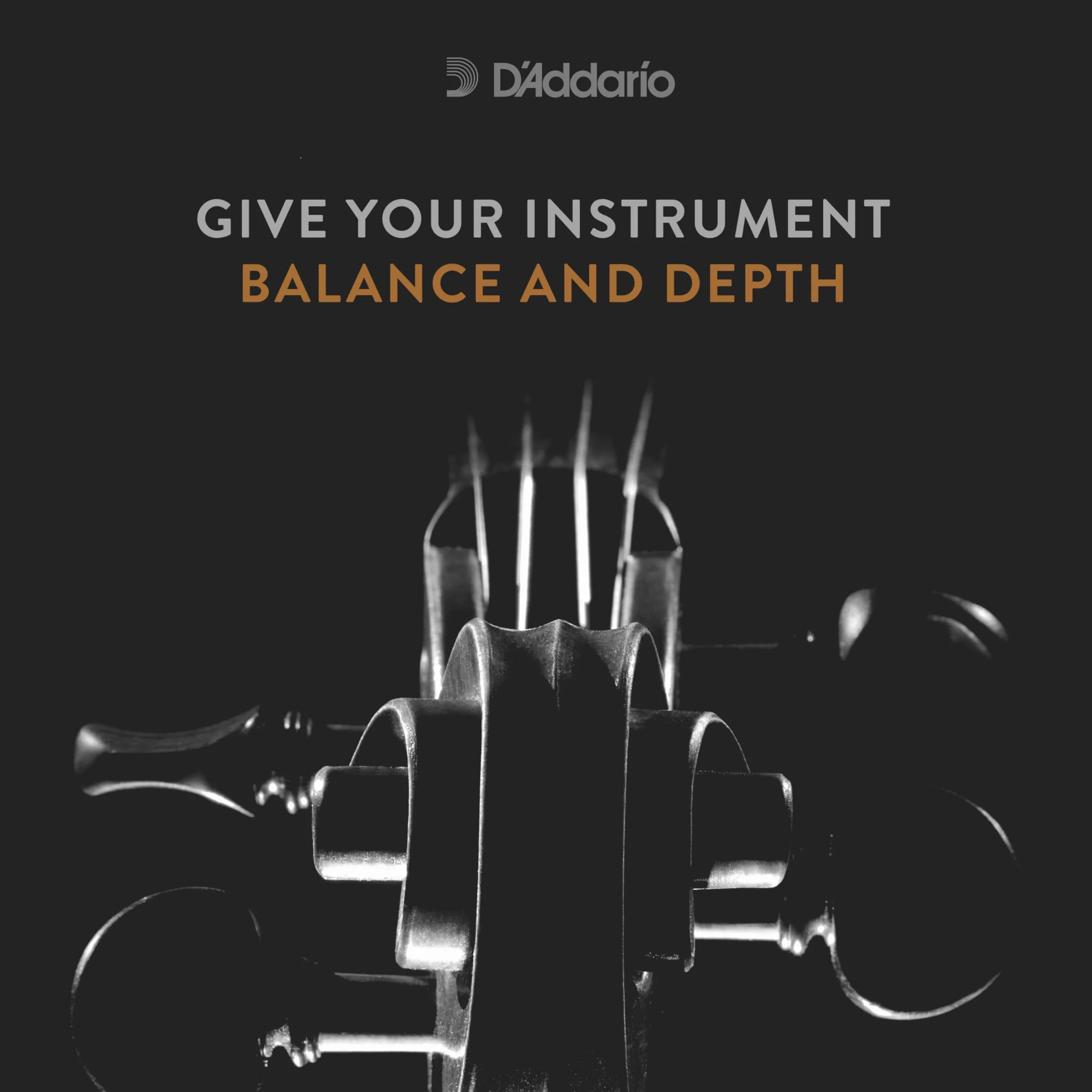 D'Addario KA411 LM, tensione da uomo modello Kaplan Amo, taglia M, Viola Set Medio
