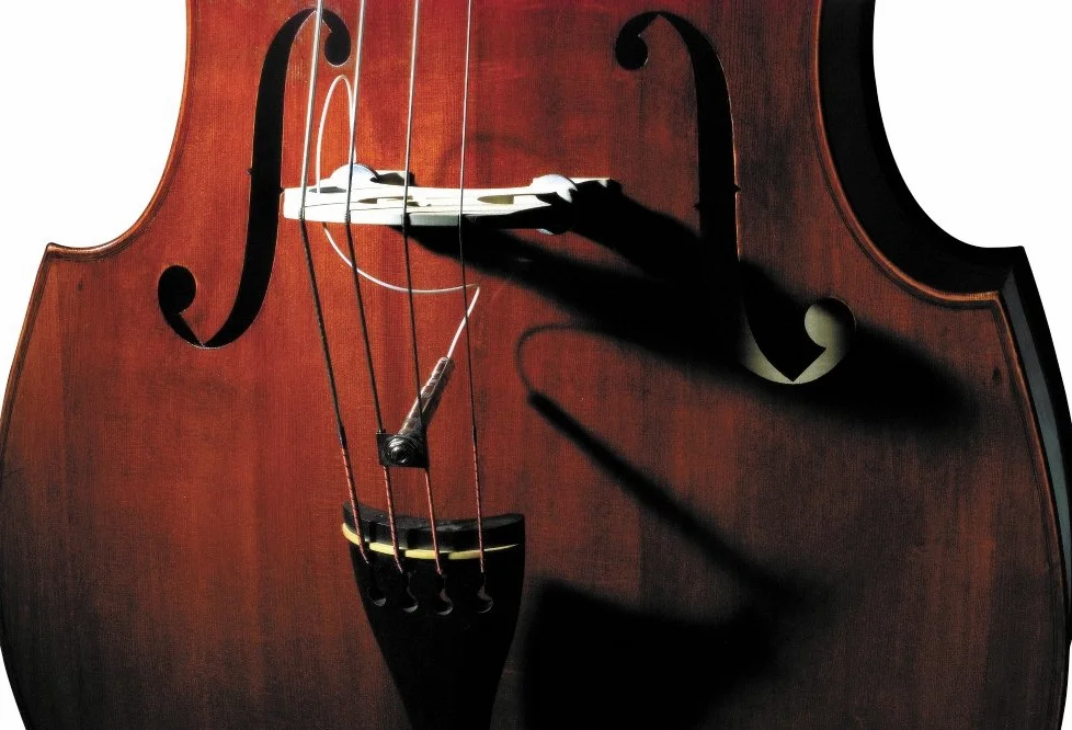 Pickup per contrabbasso Fishman Classic serie Full Circle, formato UNC 1/4-20