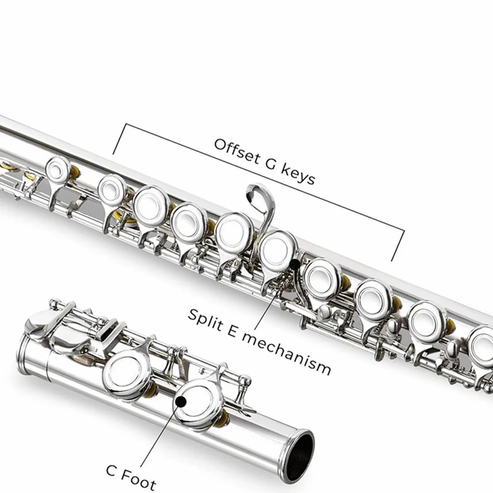 16 Fori Aperti Chiusi Chiave C Flauto Traverso Professionale Strumento Musicale da Concerto con In Stick di Panno per La Pulizia Della Scatola