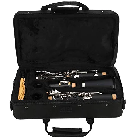 Strumento Musicale Clarinetto Chiave in Sib, Set Clarinetto 17 Chiavi in ​​Sib in Legno con Panno per Pulizia Scatola per Cacciavite a Lamella Strumento Musicale (BLACK)