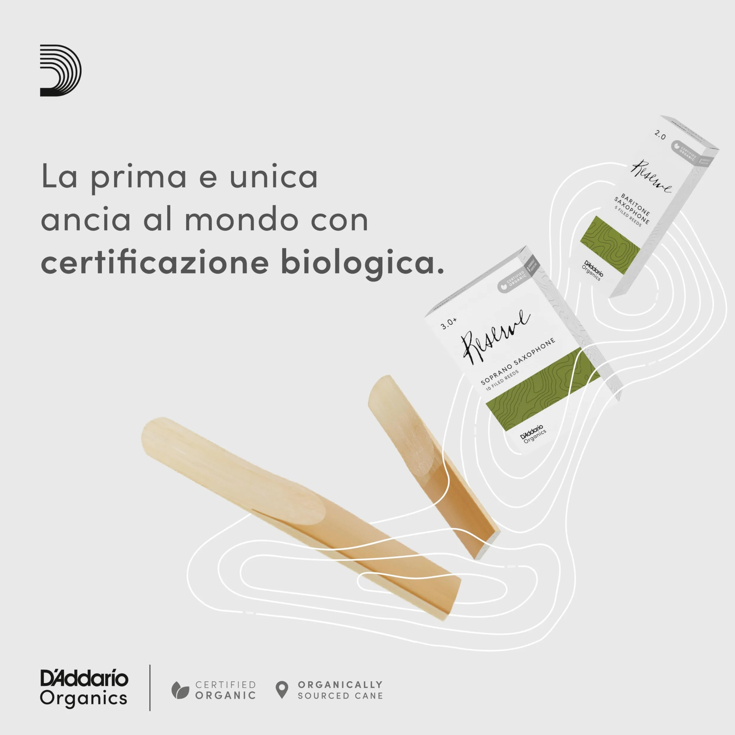 D'Addario Organic Reserve Alto Ance per Sassofono - Ance per Sax - La prima e unica Ancia Biologica - 3.0 La Forza, 10 Pacchetto