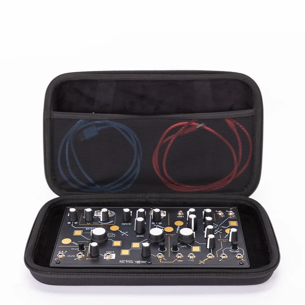Analog Cases PULSE Case per dispositivi MakeNoise 0-Coast o simili (borsa da trasporto in resistente EVA/Nylon stampato, con robusta impugnatura in gomma), Nero