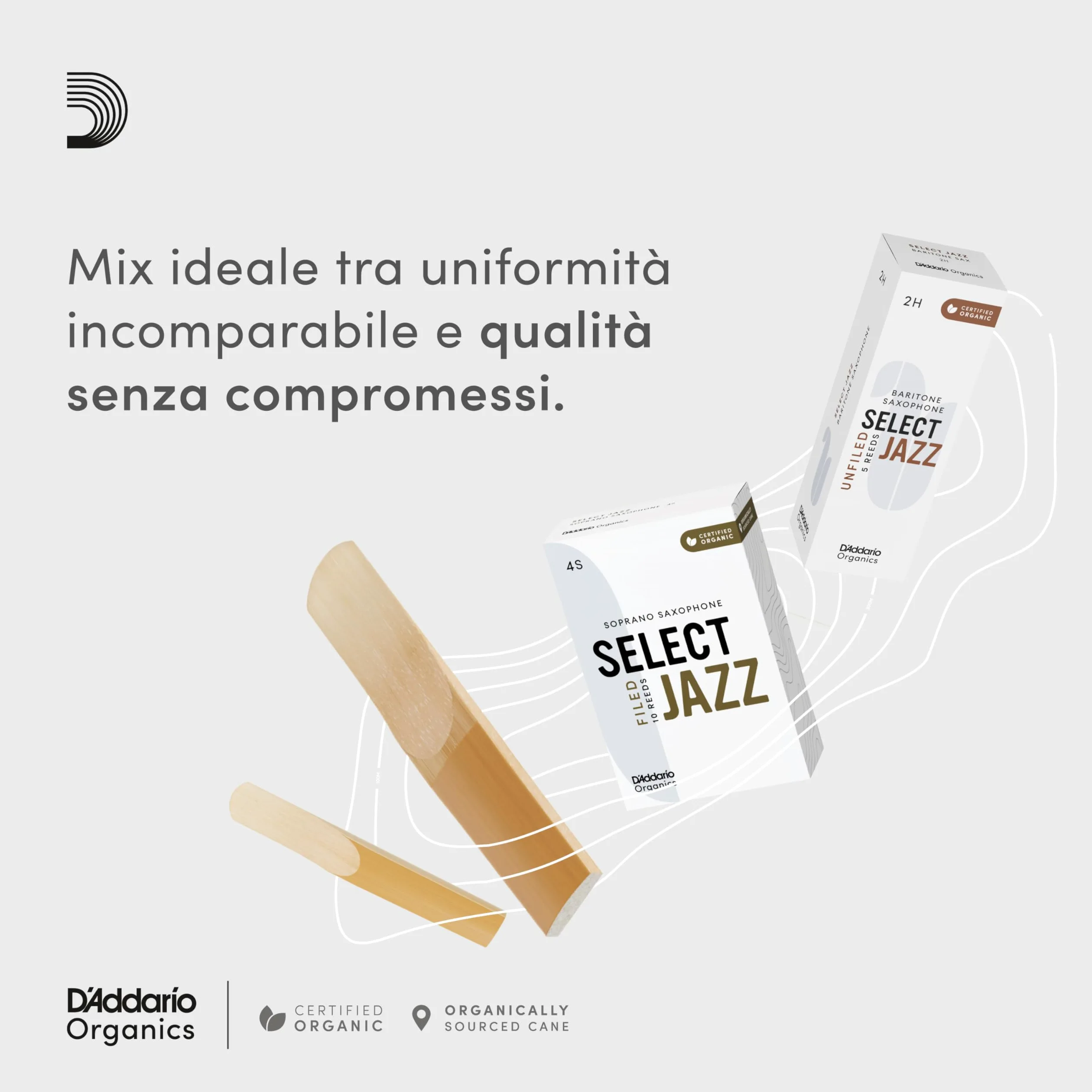 D'Addario Organic Select Jazz Filed Tenor Ance per Sassofono - Ance per Sax - La prima e unica Ancia Biologica - 3 Morbido, 5 Pacchetto