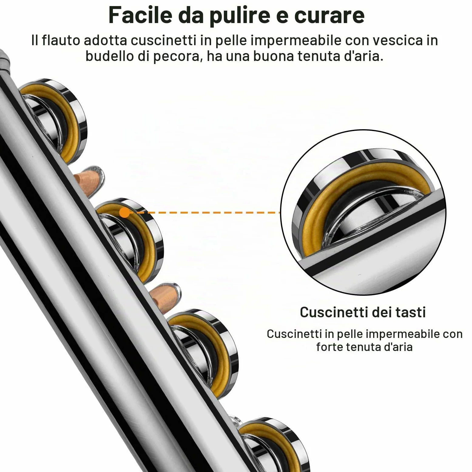 POGOLAB Flauti, Foro Chiuso C 16 Tasti, Flauto per Studenti Principianti Avanzati, con Kit di Pulizia per Flauto, Borsa per il Trasporto, Supporto, Cinghia, Asta Sonda, Guanti, Grasso, Placcato Nickel