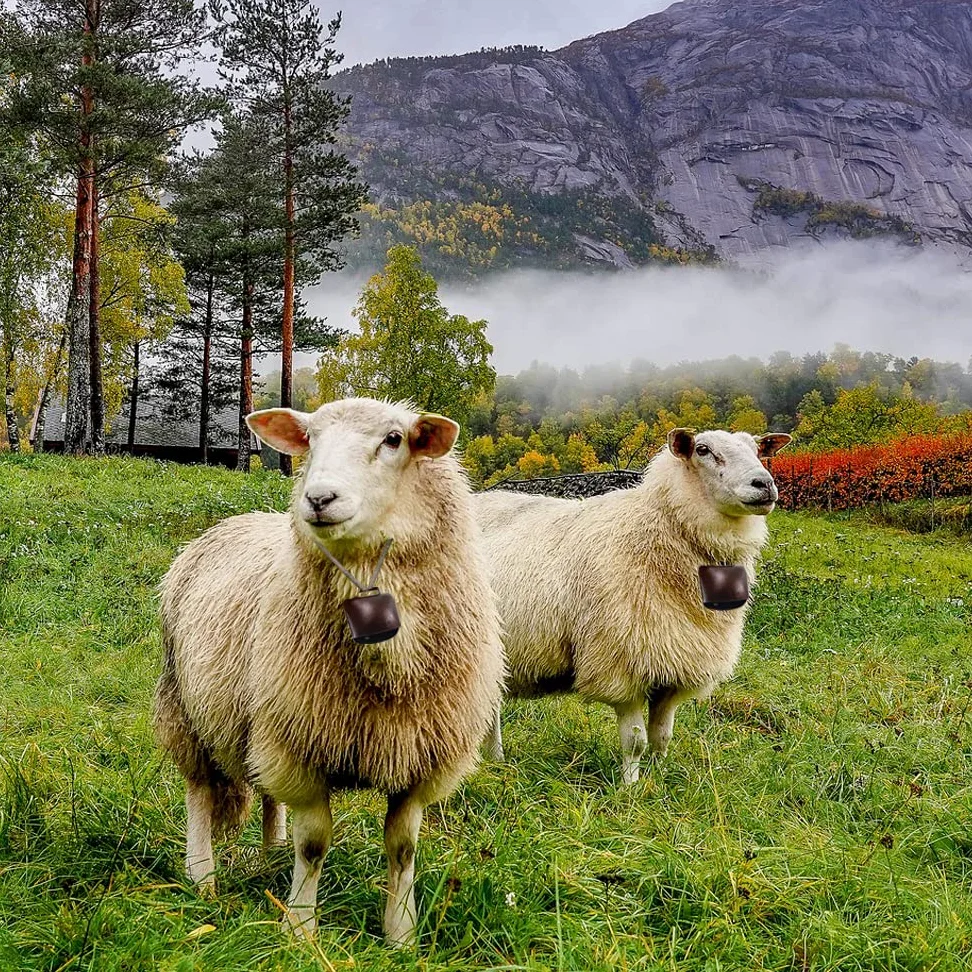 Campanello da giardino in metallo con manico, grande campana di mucca, campanello di rumore, forte finitura in rame anticato per fattoria, calcio, sport, eventi musicali