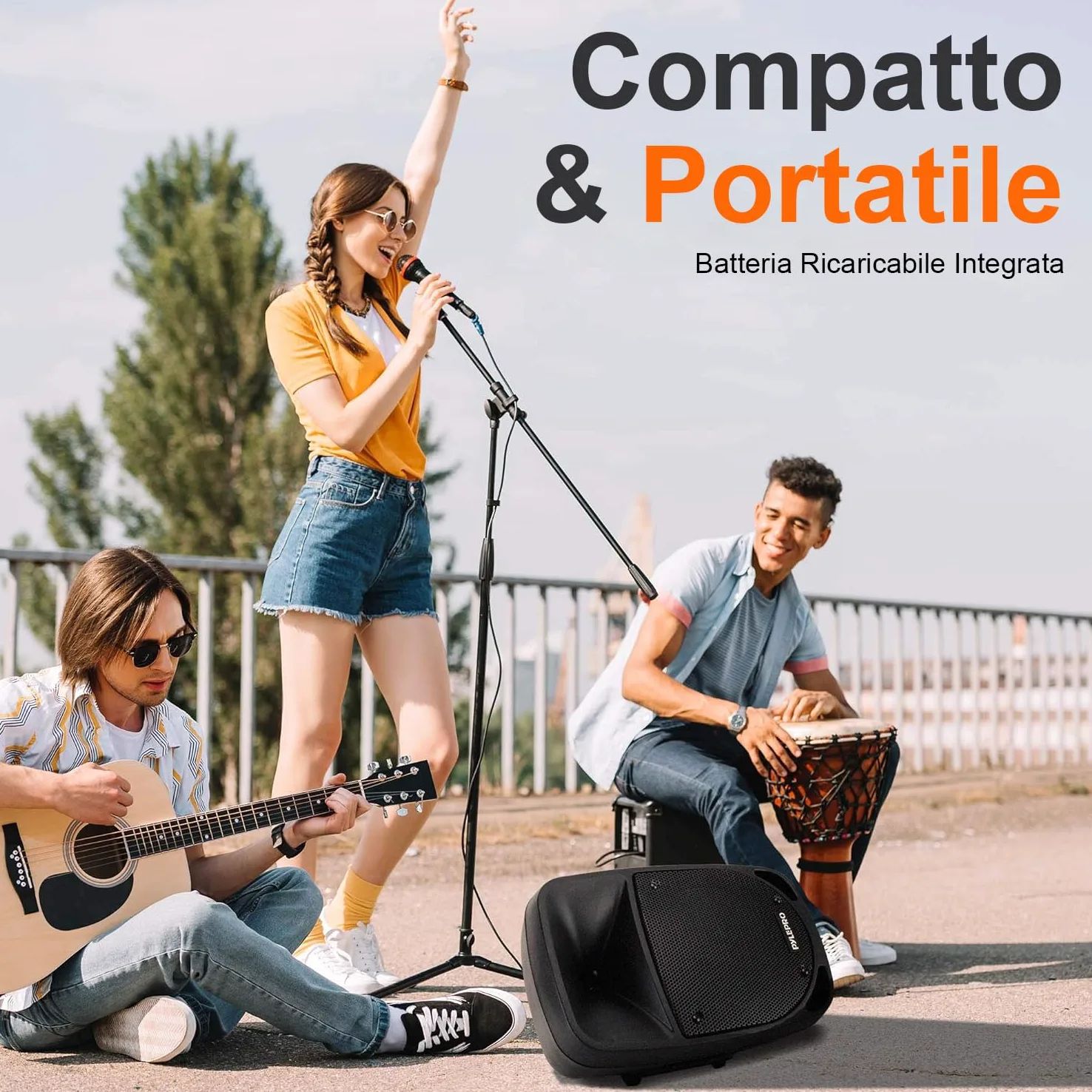 Pyle Cassa Bluetooth 800 Watt, Karaoke, Subwoofer 20 centimetri, Microfono UHF, Luci LED, Batteria Ricaricabile, Altoparlante Bluetooth MP3/USB/SD