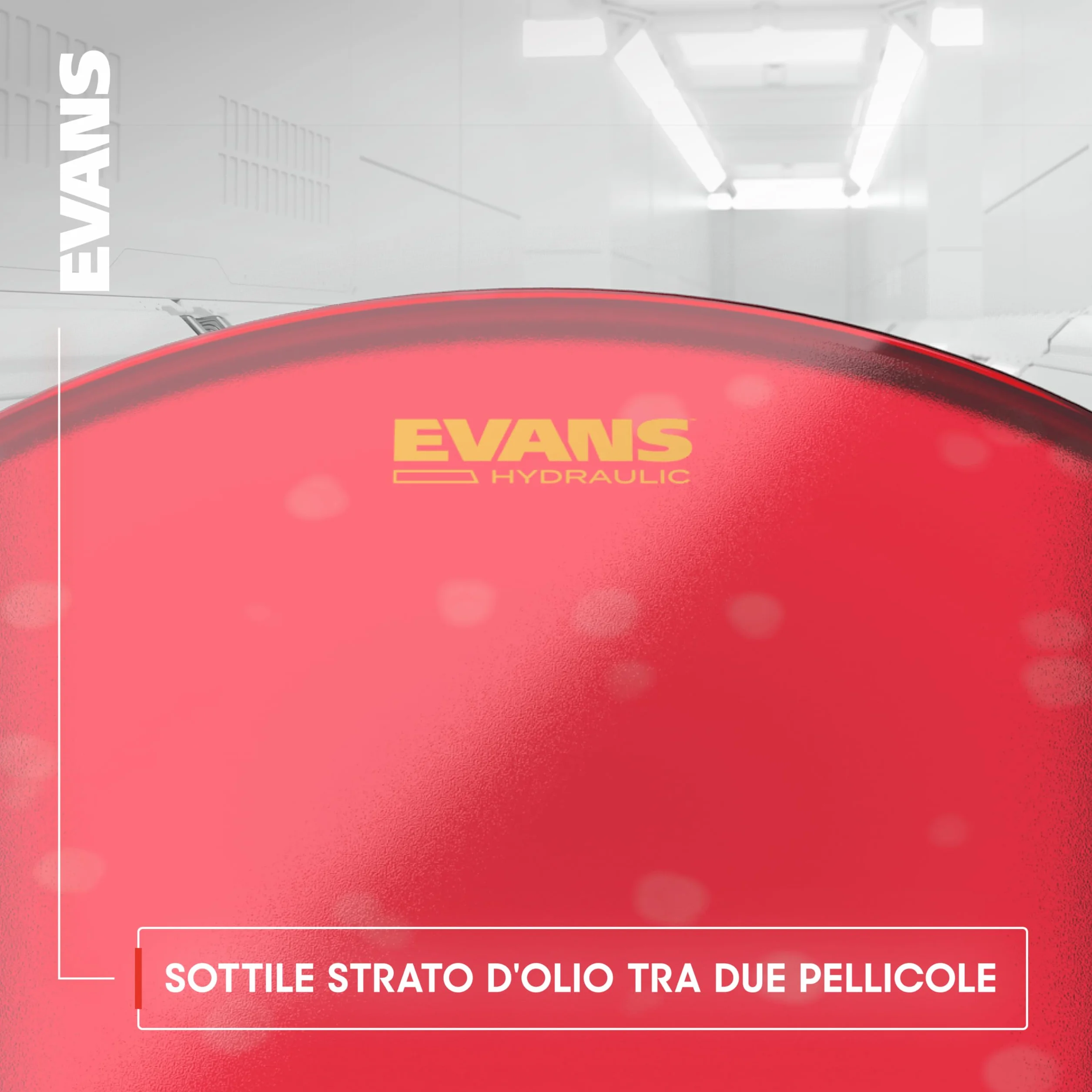 Evans ETP-HYDGL-S Confezione da 3 Pelli Idrauliche per Tom Rispettivamente di 12", 13" e 16 Standard, Trasparente