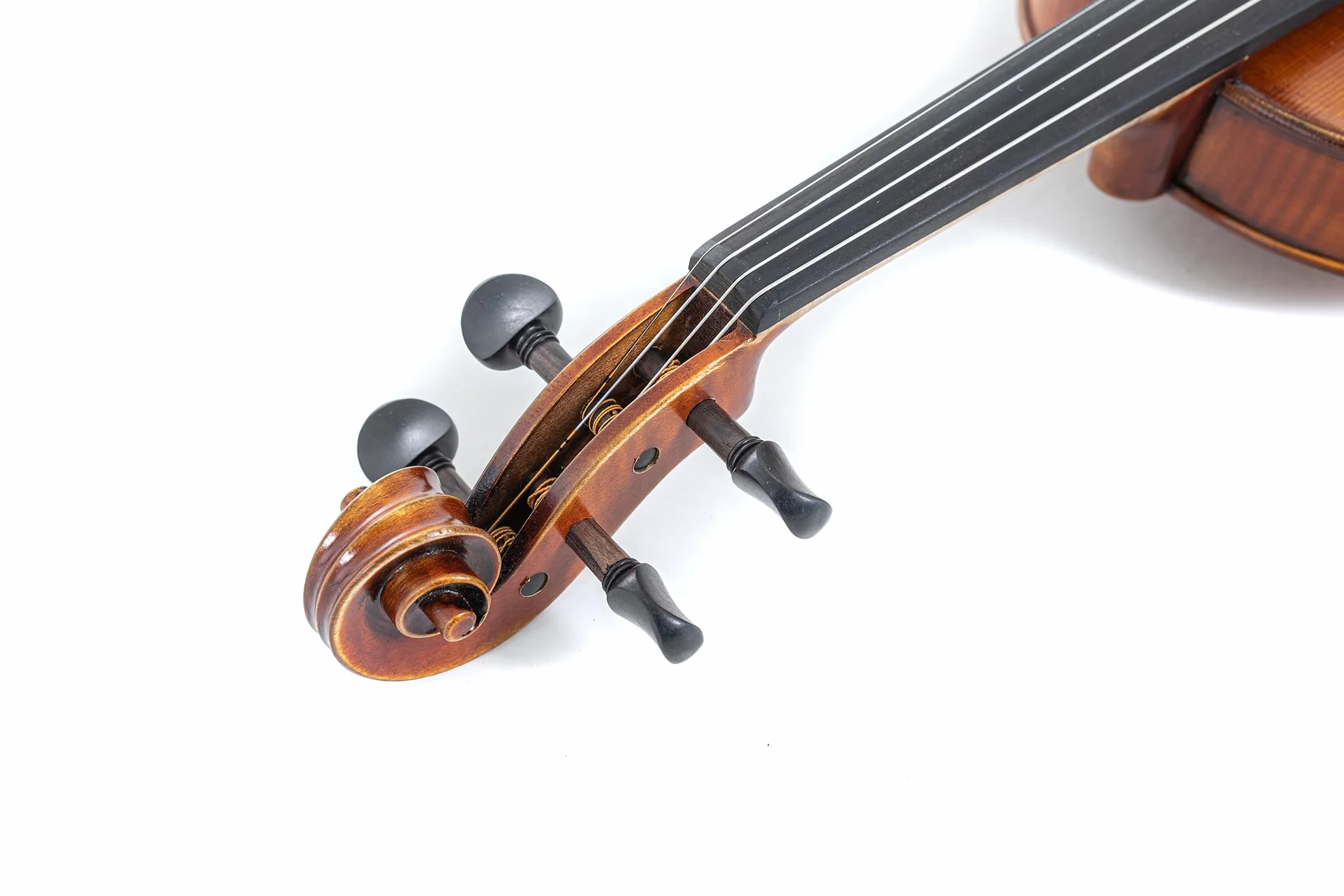 GEWA, set di violini serie Maestro 2 VL 4, 1/2 pronto per l'uso incl. custodia, arco Massaranduba e corde Larsen Aurora