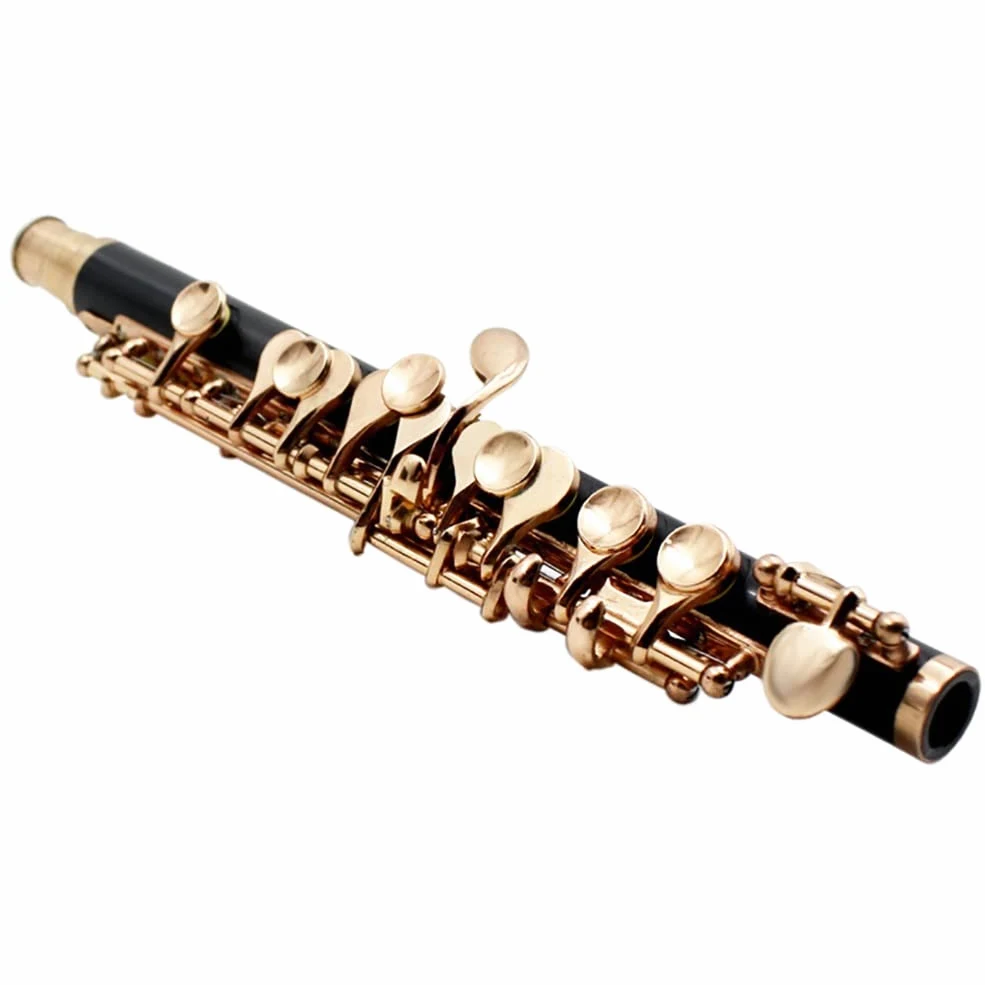 Ottavino di mezza misura, cupronickel placcato in argento C Key Tone 16 fori Piccolo con cacciavite for astuccio