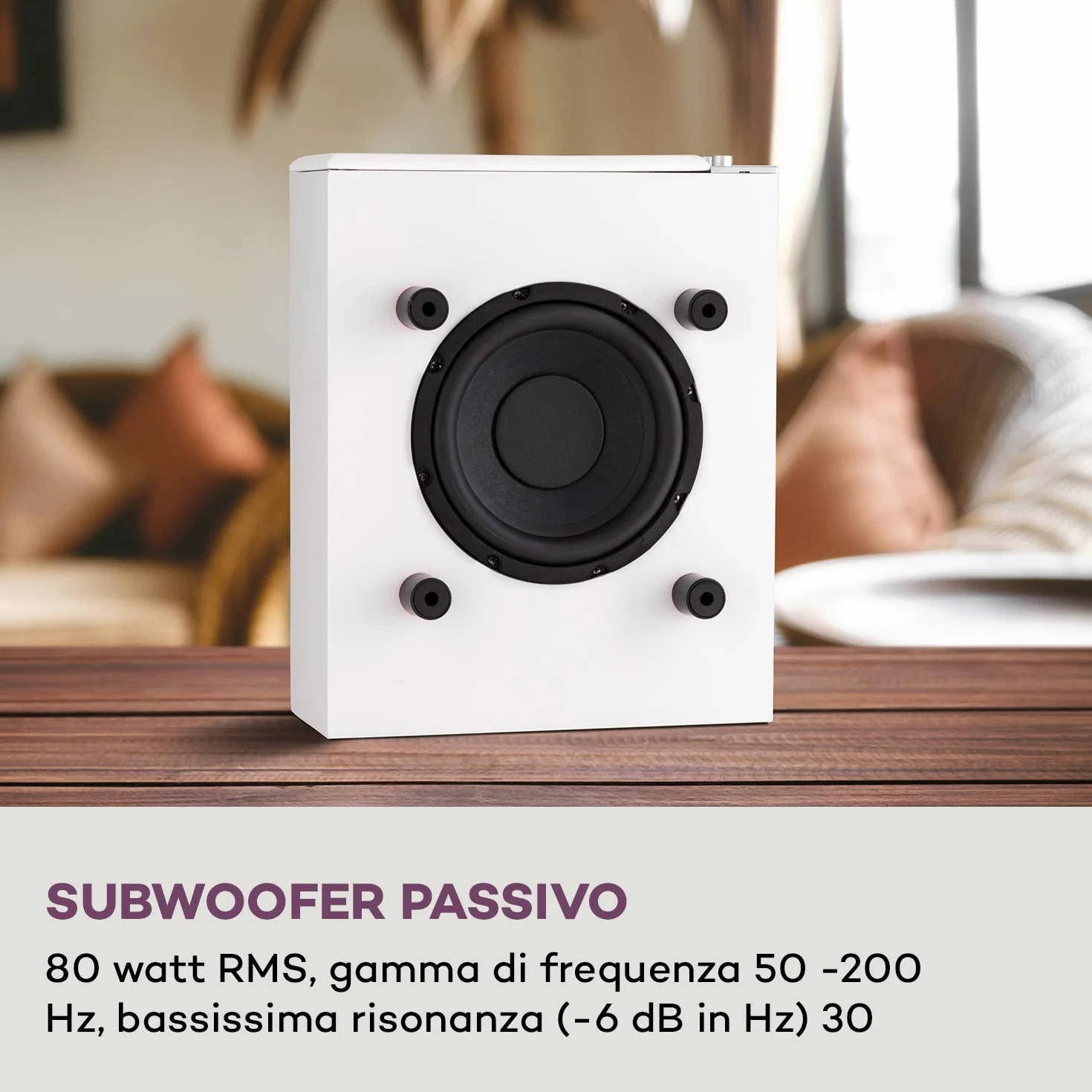 AUNA 2 Subwoofer Passivo, Casse Acustiche Passive 80W RMS con Output Max di 100W, Grandi Bassi, Design Compatto per Sistema Stereo e Home Theater, Amplificatore Subwoofer TV AUX per MP3 e CD
